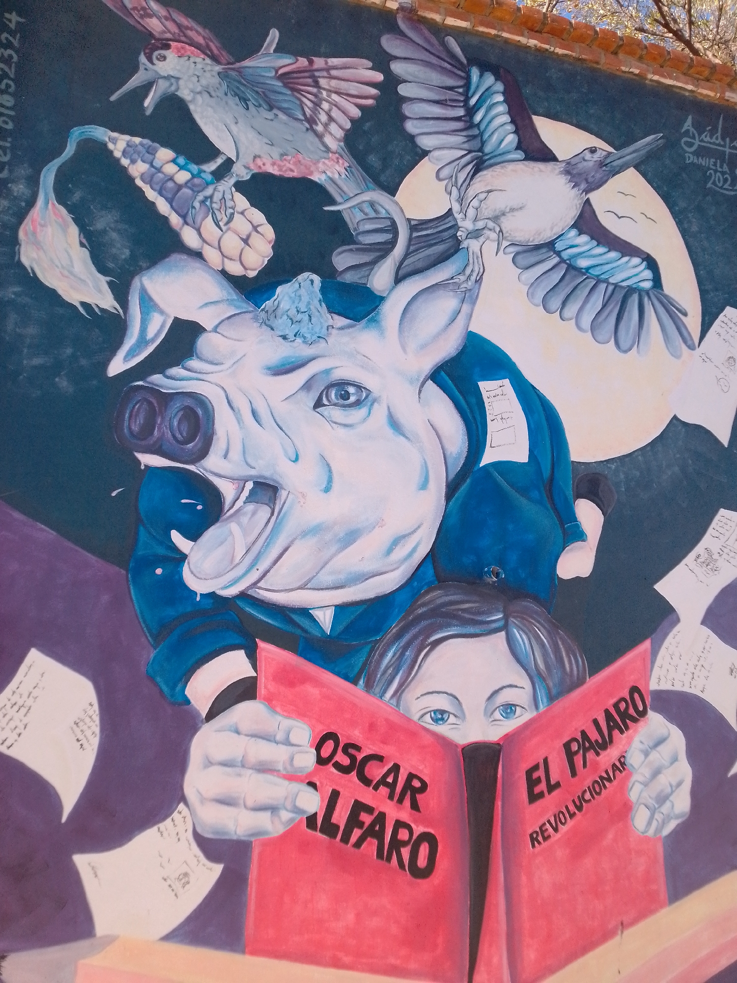 Street art documentation captures diverse murals across Tarija, Bolivia