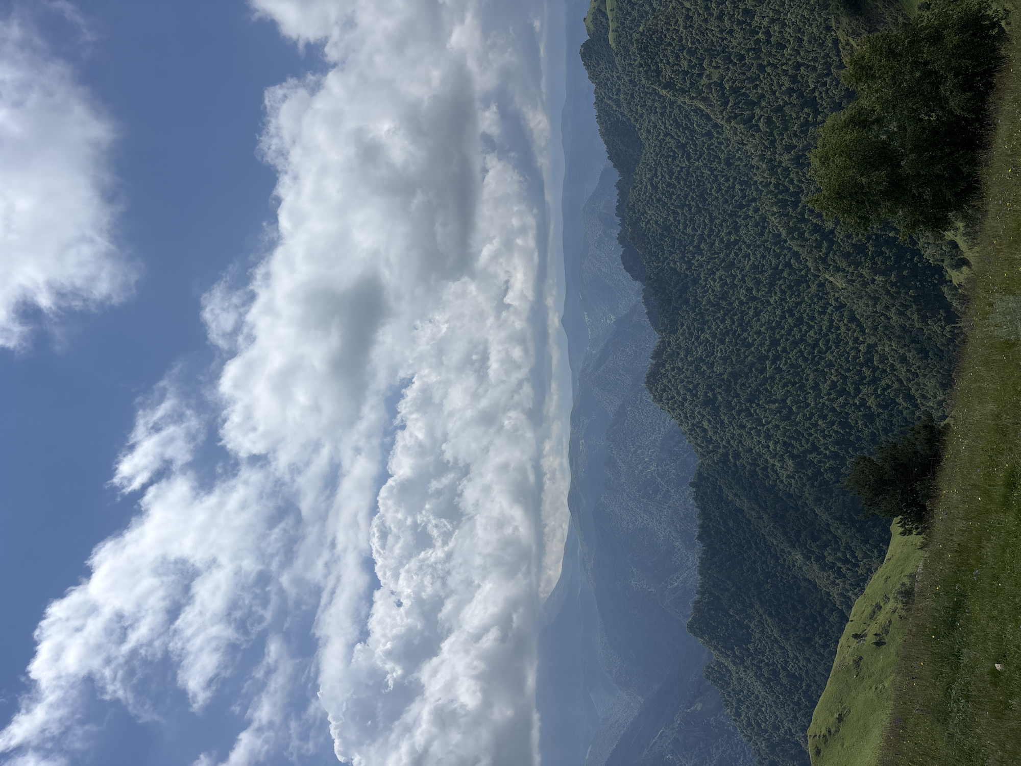 Wildflower slopes and forested ridges in the Russian Caucasus