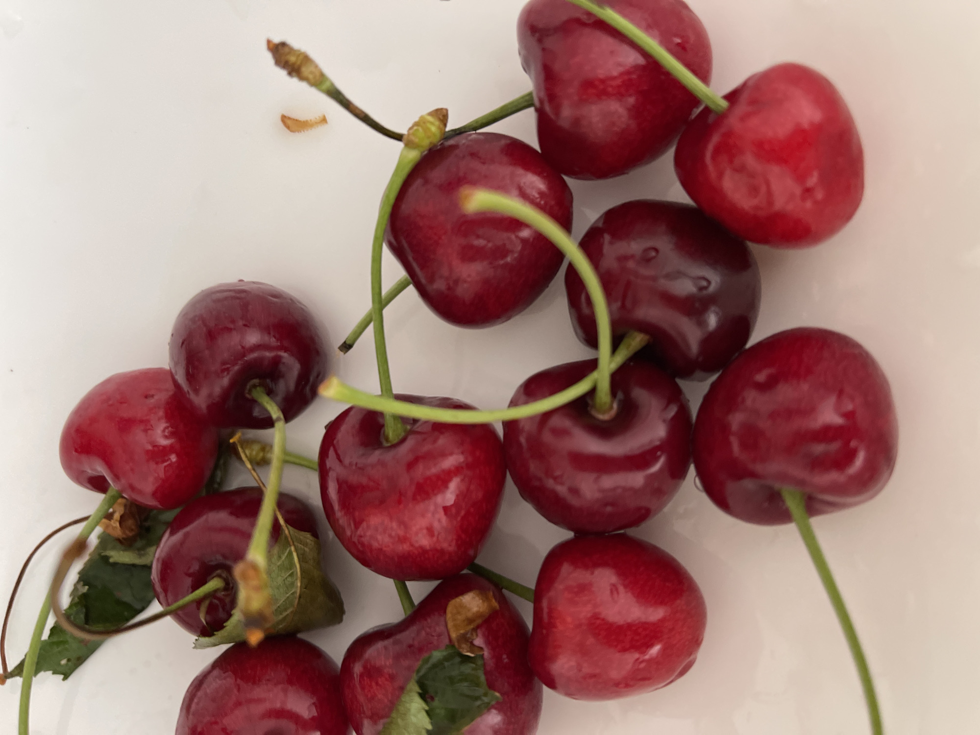 Personal moments: kumquats, cherries, red nails, and Venice