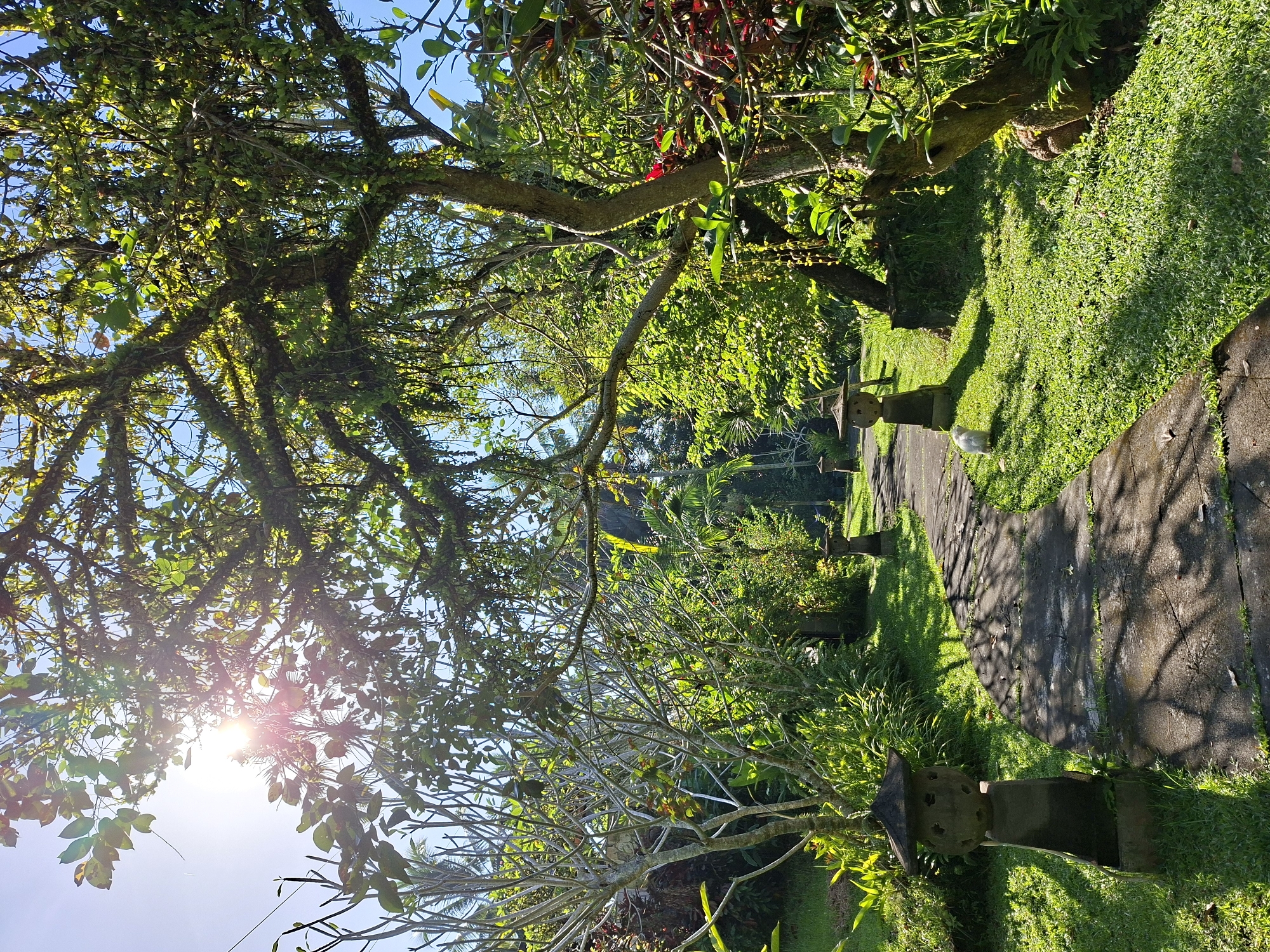 Morning garden walk documented at Villa Singakerta, Ubud