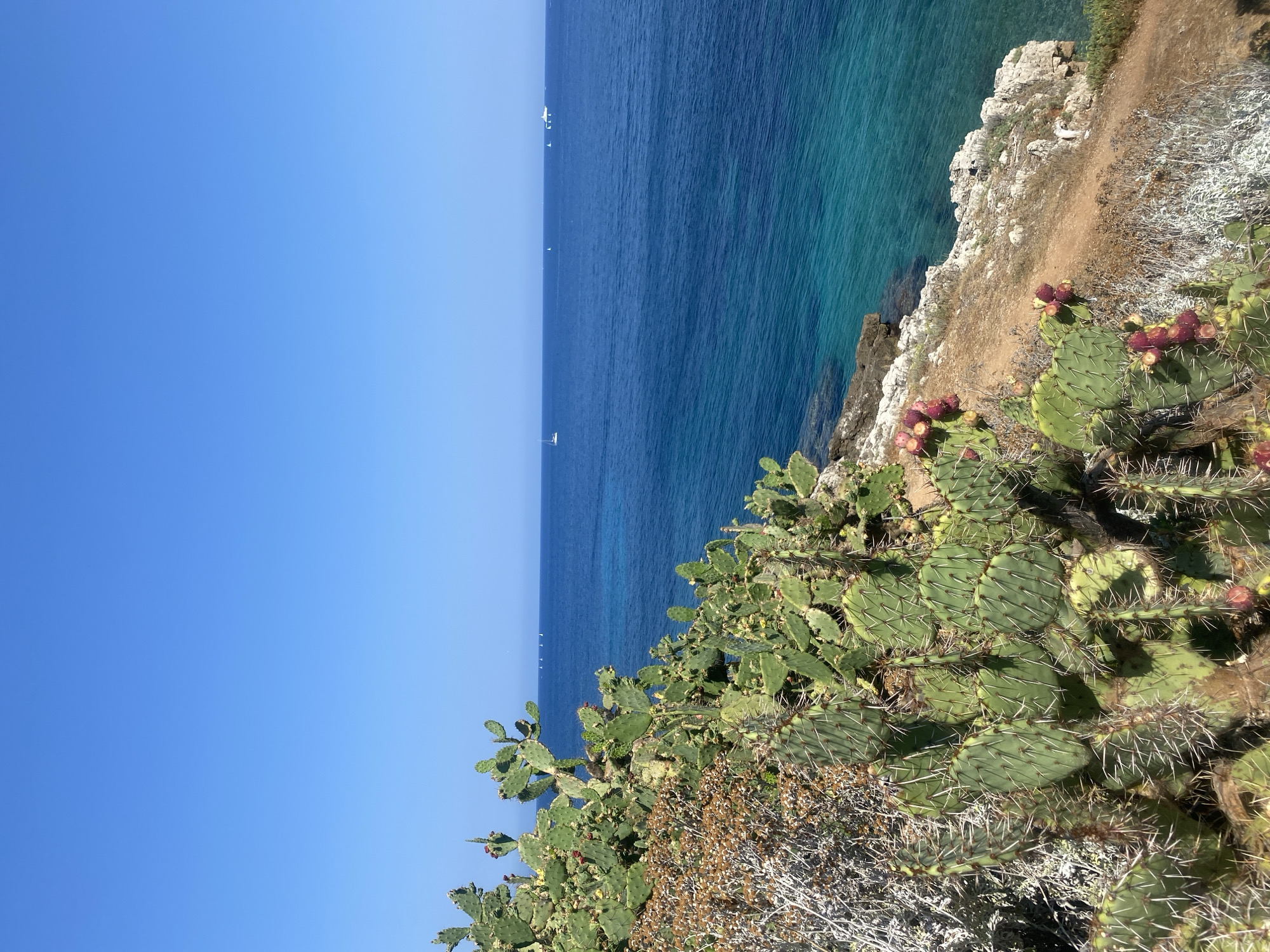 Sun-drenched streets and rocky coast in Antibes