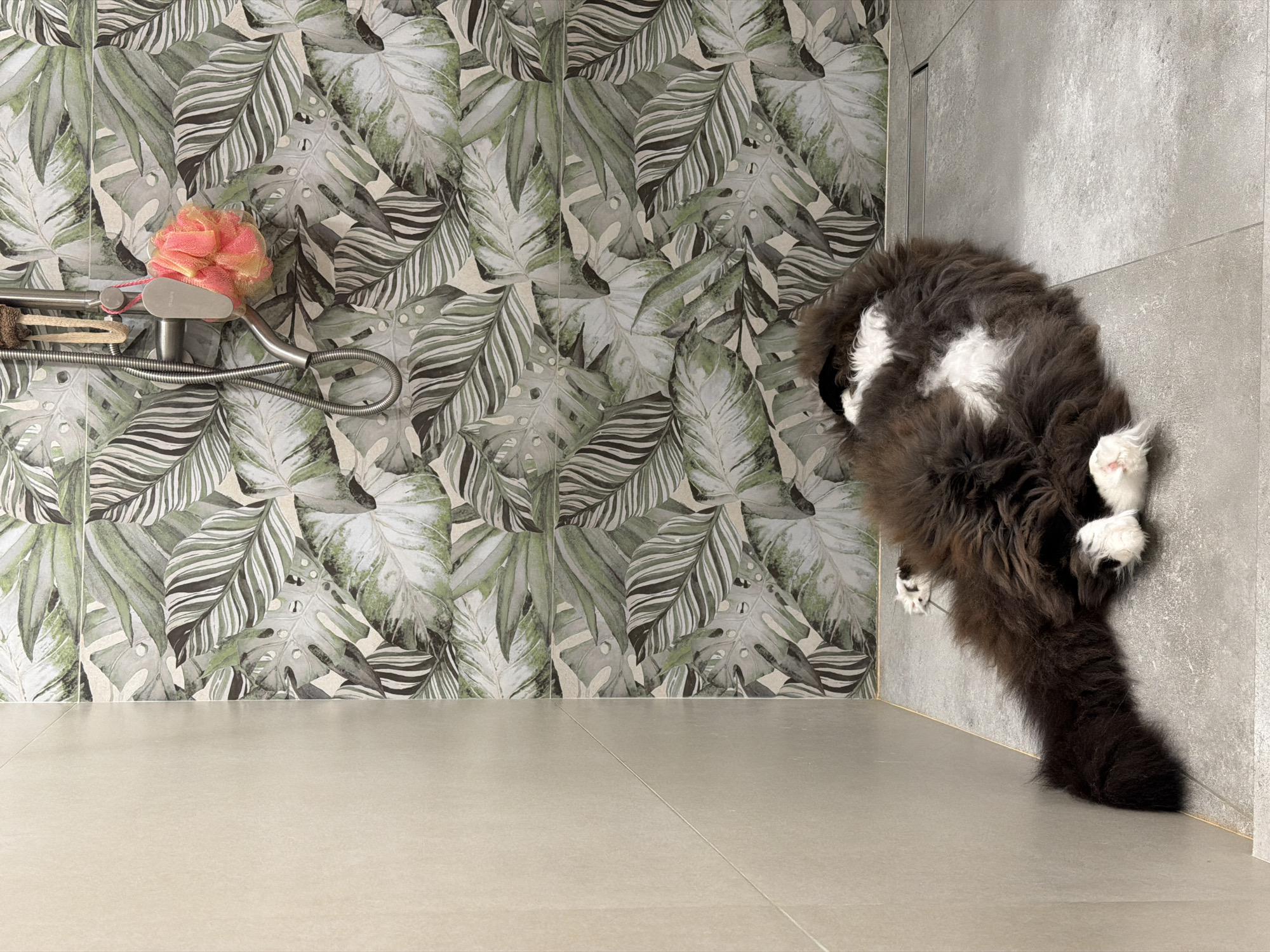 Cat lounges belly-up on a tiled shower floor in Kazan