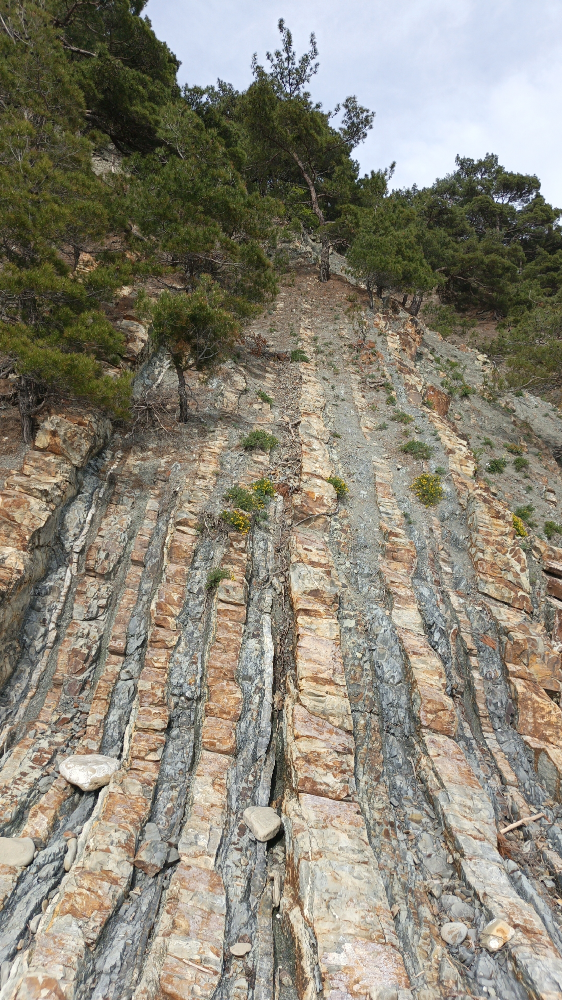 Tourist activities documented at rocky Praskoveyevka beach formations