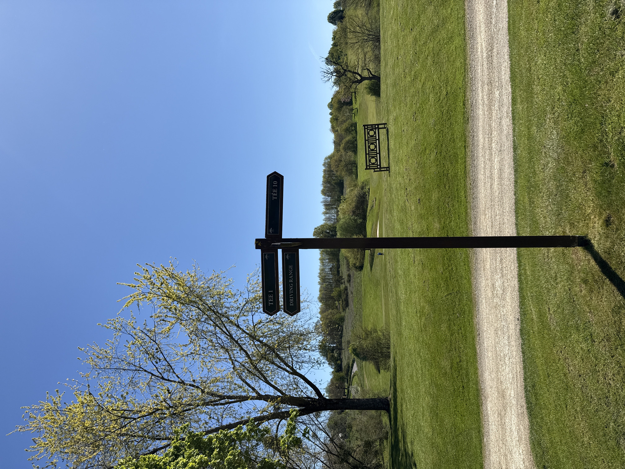 Fox spotted near golf course in Lenningen, Luxembourg