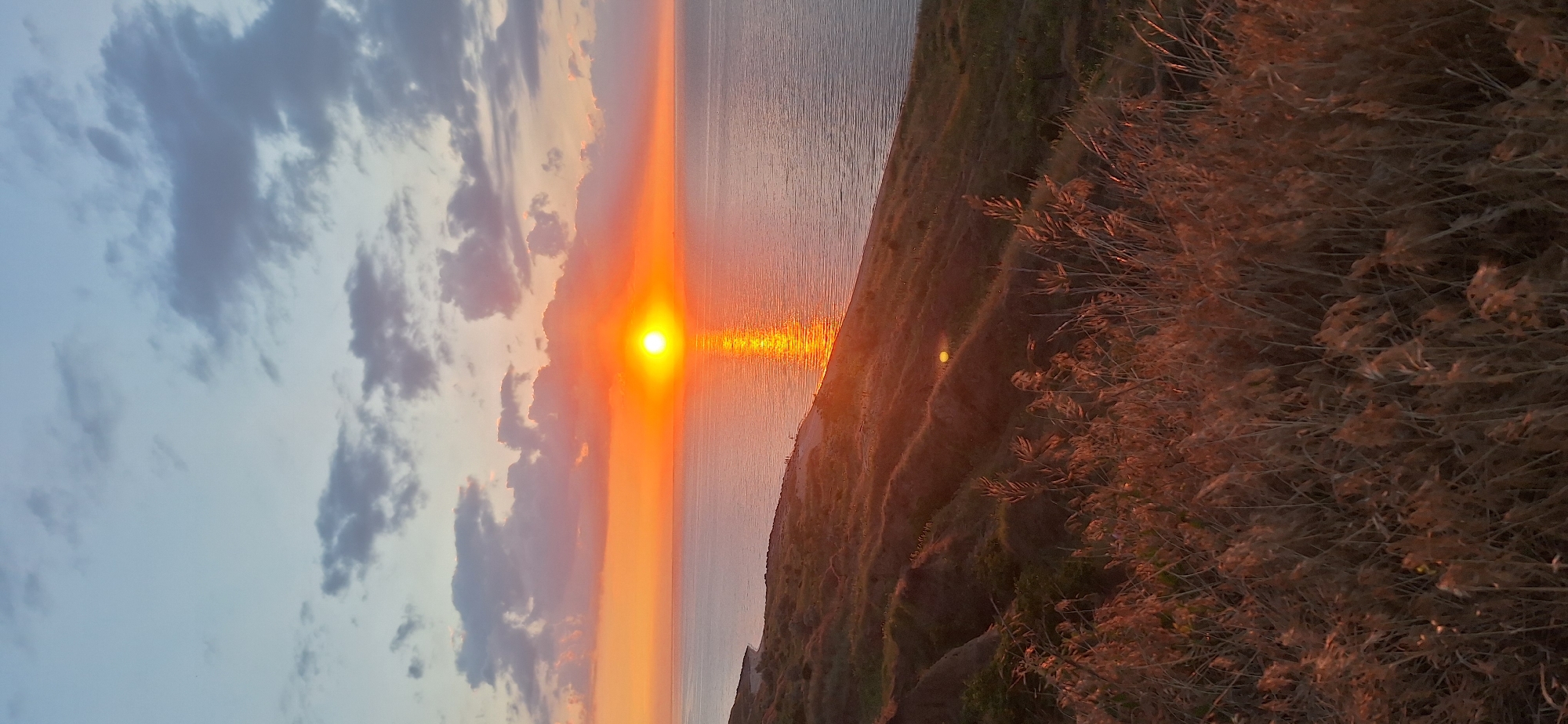 Coastal sunset session from a grassy hillside, multiple angles