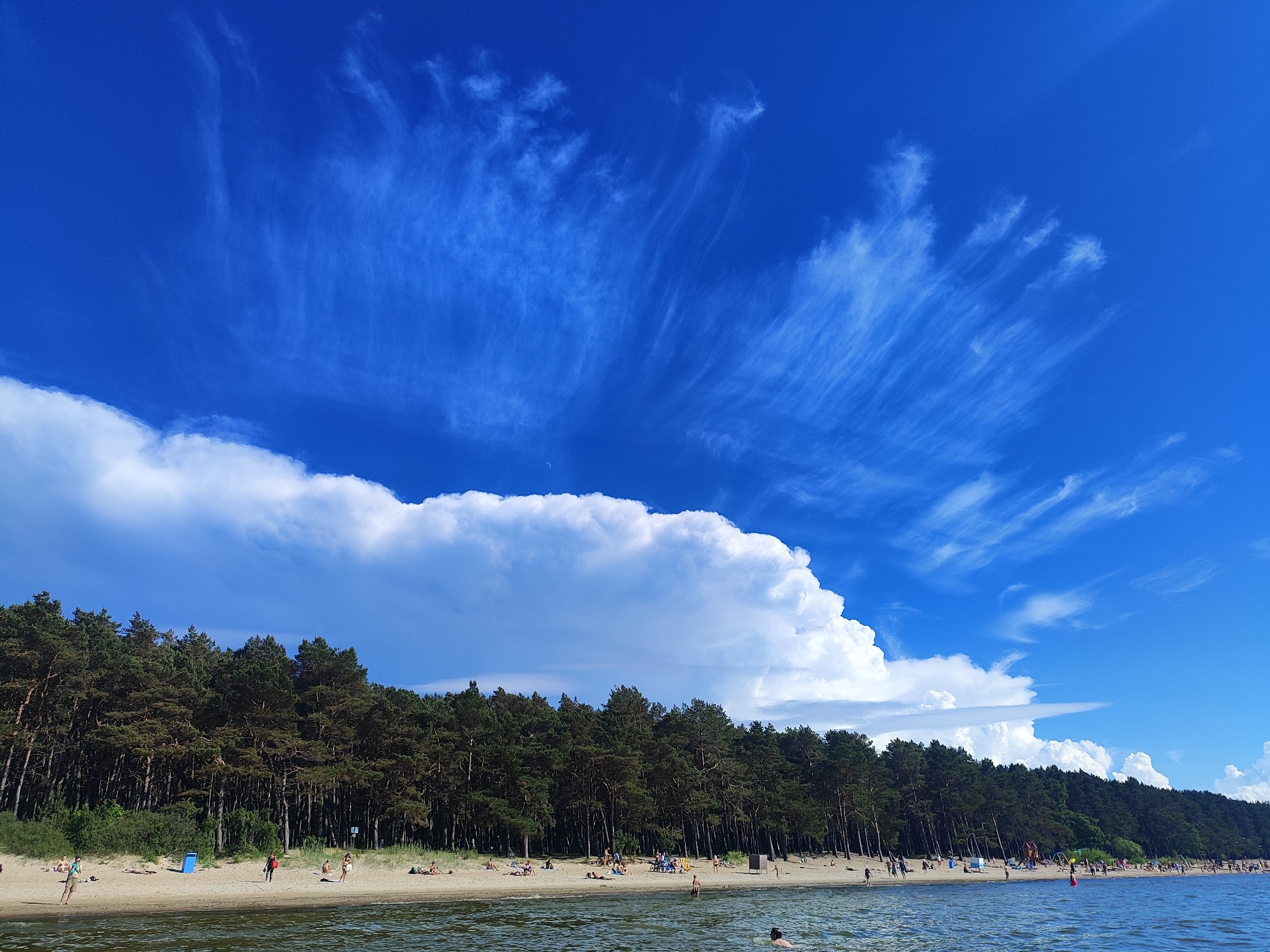 Busy beach day along Tallinn's forested coastline
