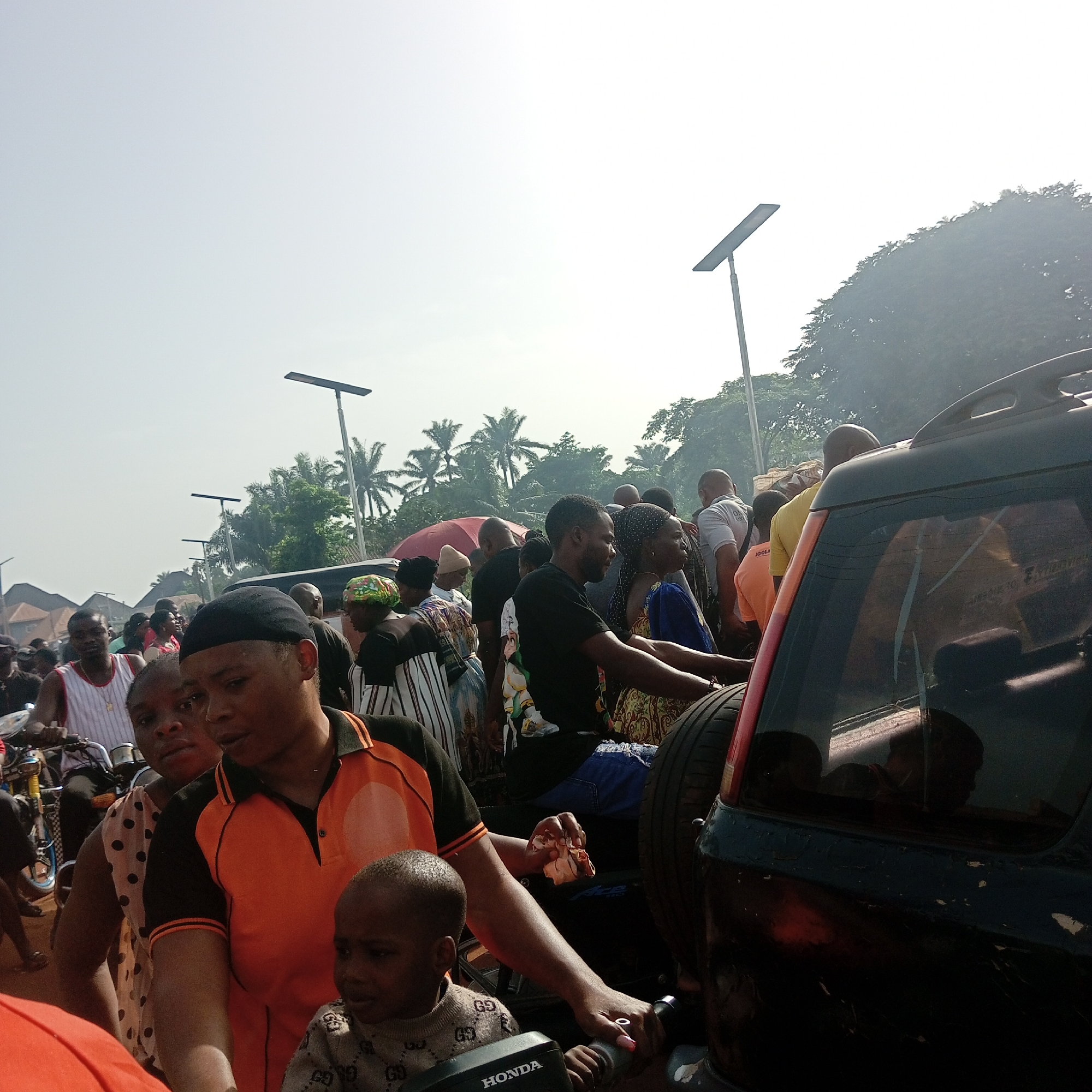 Morning poultry market bustles with activity in Nsukka, Nigeria