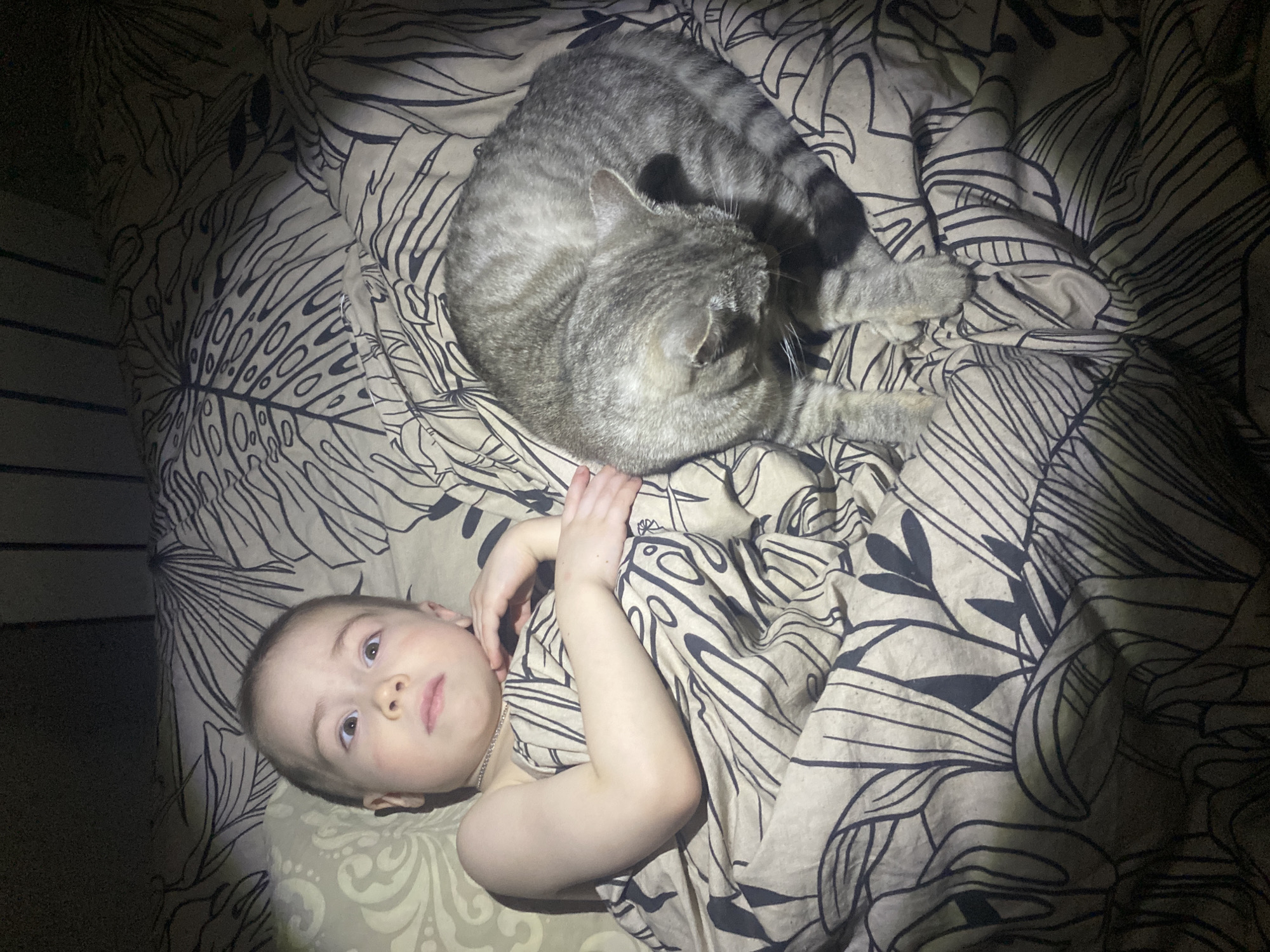 Baby and cat share quiet moment on bed