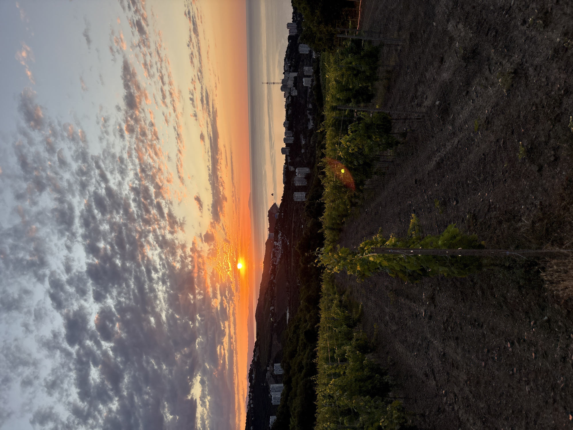 Black Sea sunset behind Crimean vineyards near Lavrovoe