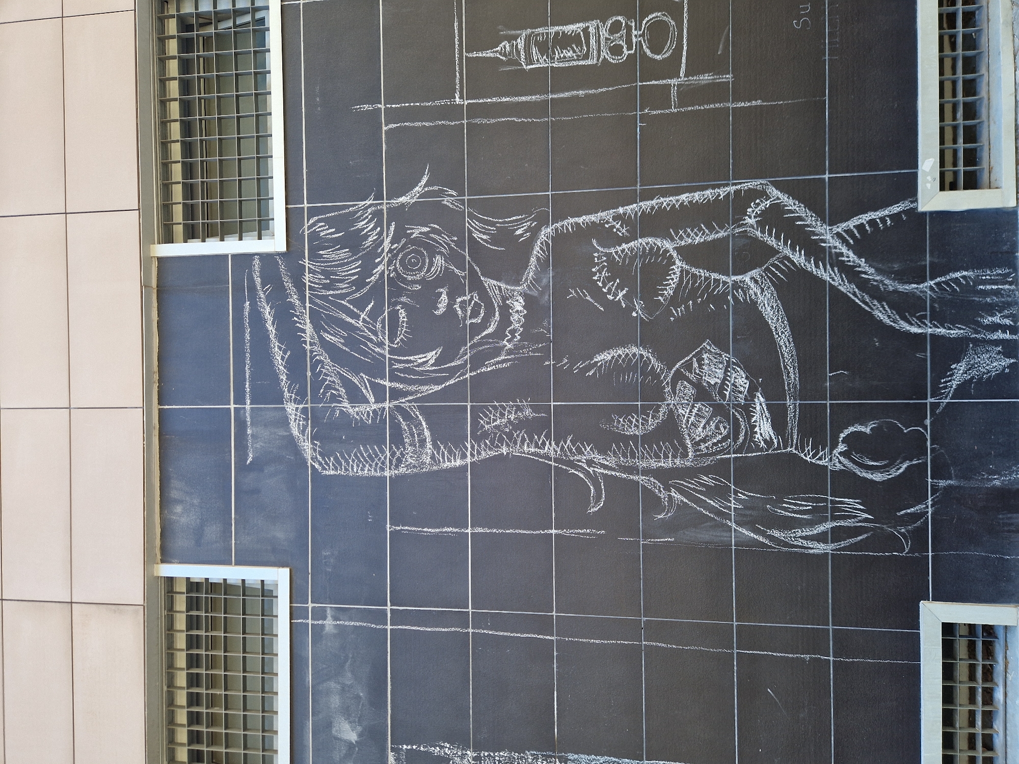 Chalk street art spotted on Barcelona wall