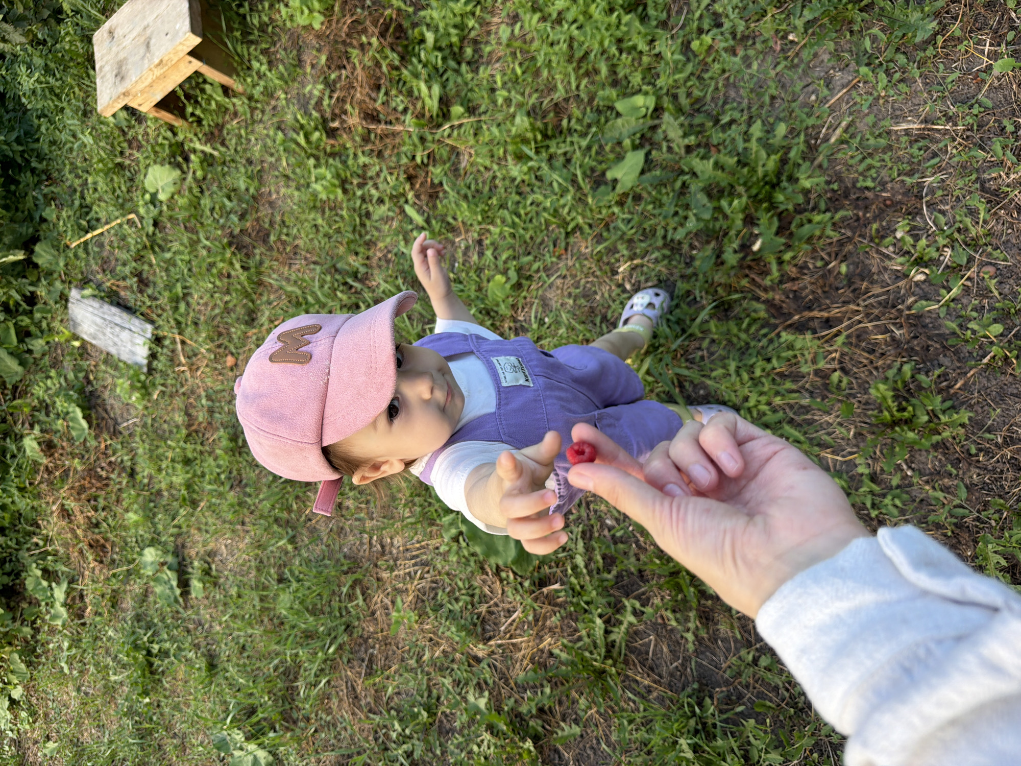 A quiet summer afternoon in Vikulovo, flowers and all