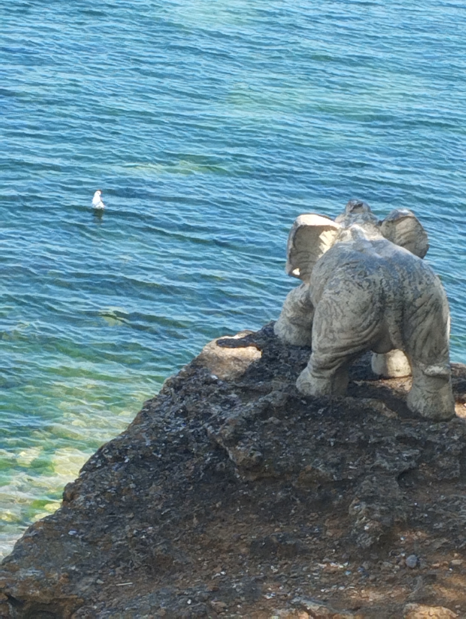 Stone elephant and calm Black Sea views from Odesa's rocky coast