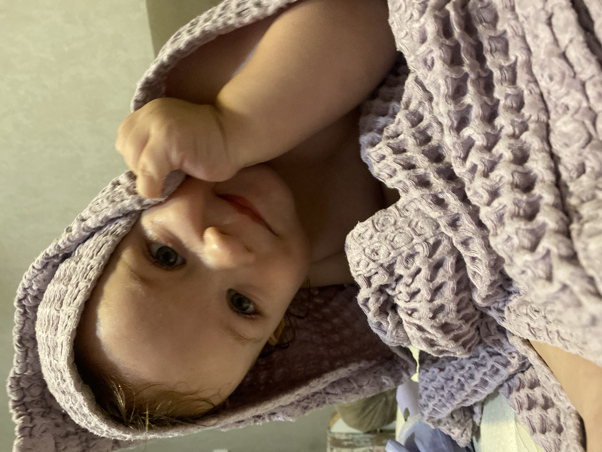 Domestic moments with baby, toddler, pet bird documented over two hours