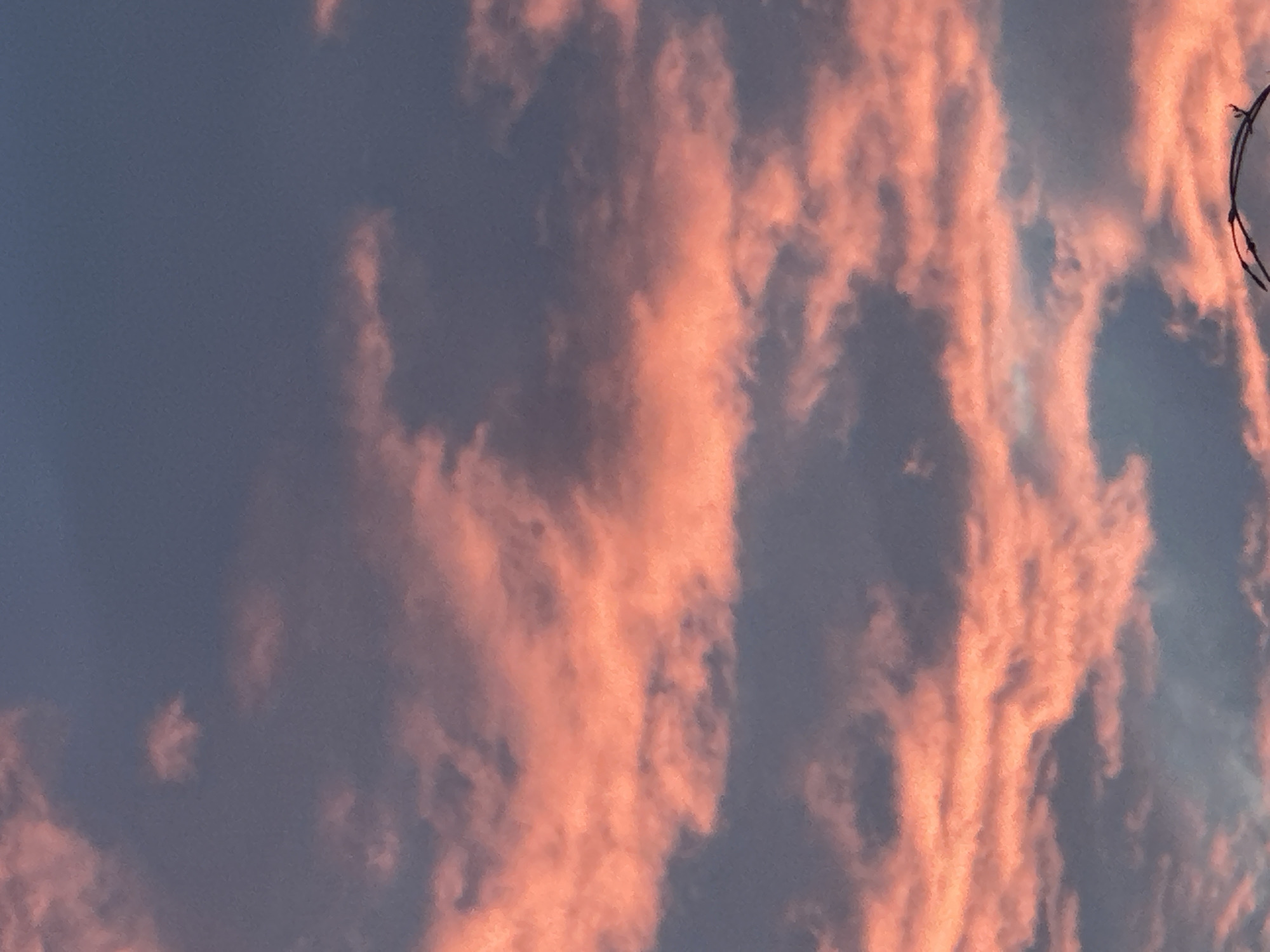 Sunset skies, backyard cats, and quiet nature close-ups