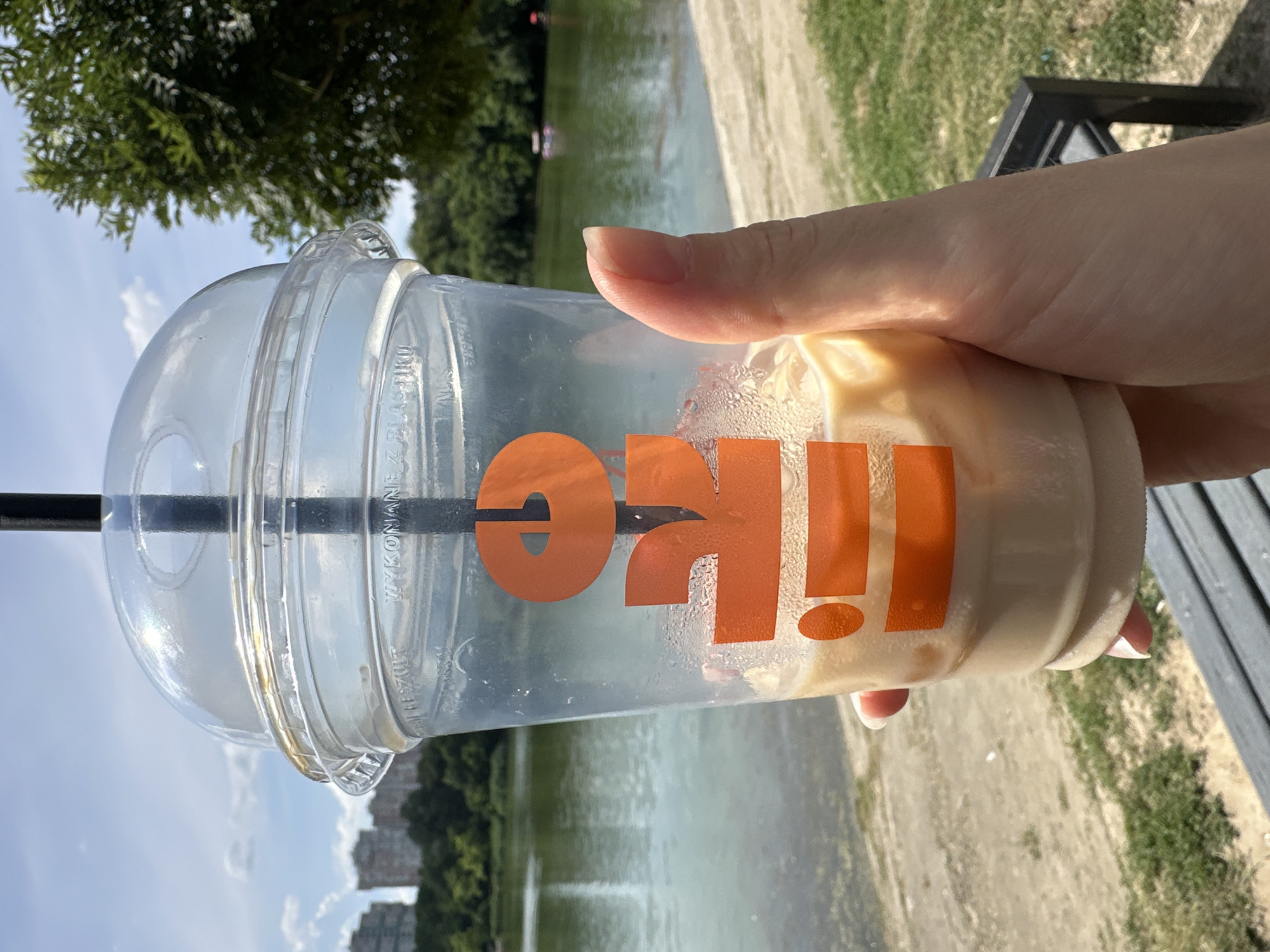 Afternoon at Chișinău's lakeside park, drinks and ducks included
