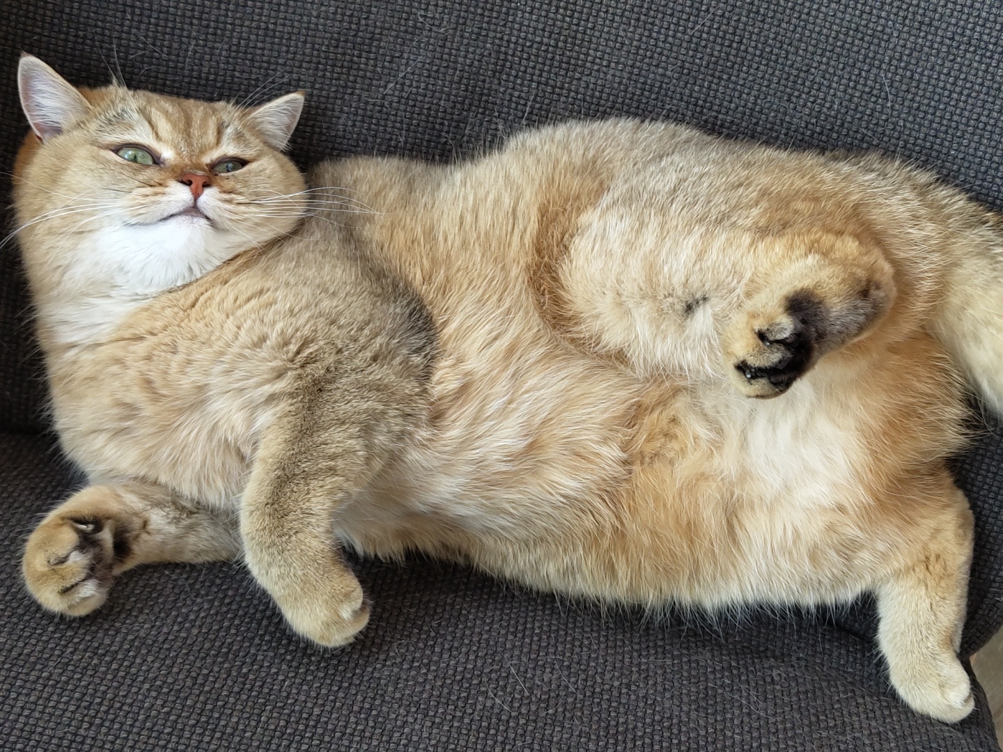Cats, selfies, and a Freaky Friday in Krasnodar