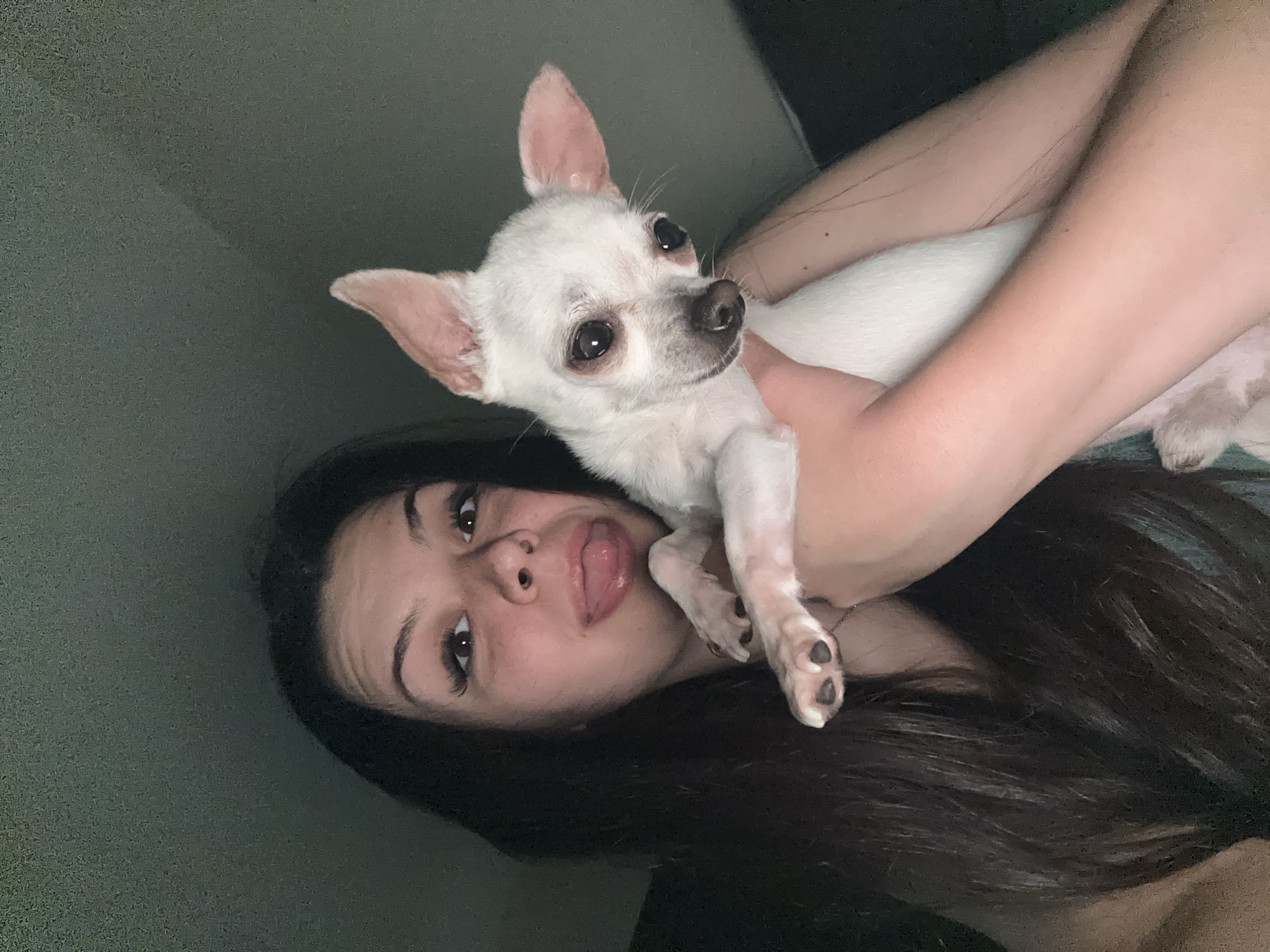 Woman and white Chihuahua share playful photo session in Bulgaria