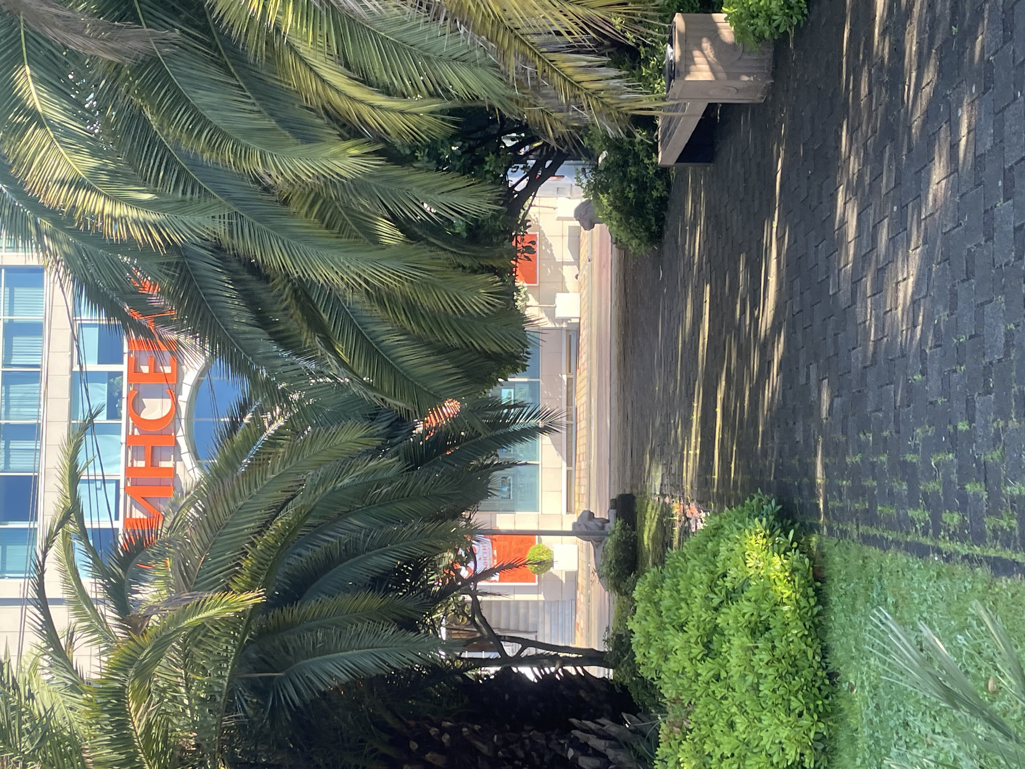 Morning stroll through Sochi resort area captured in 15 memories