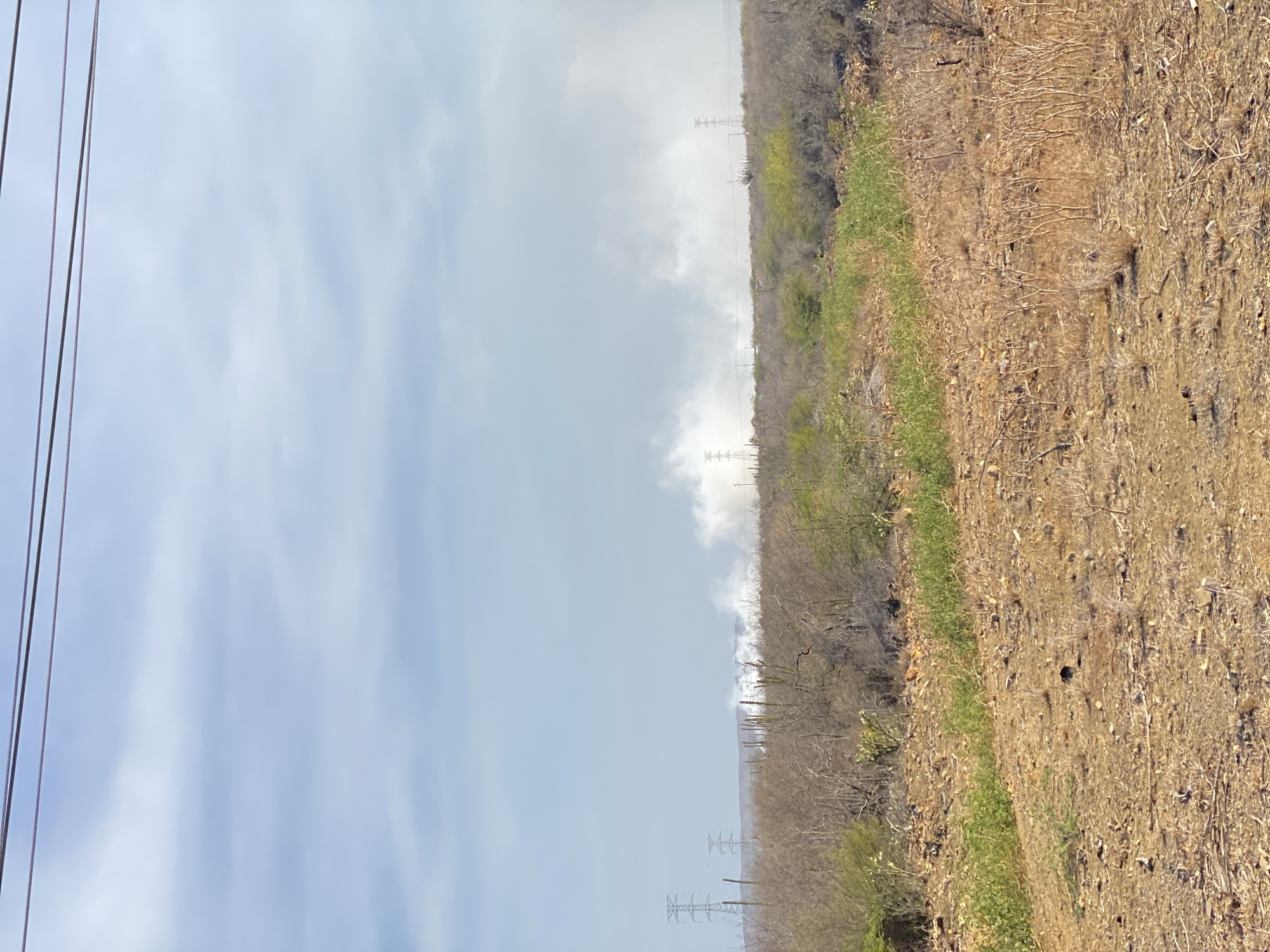Rural landscape with power lines photographed in La Guardia