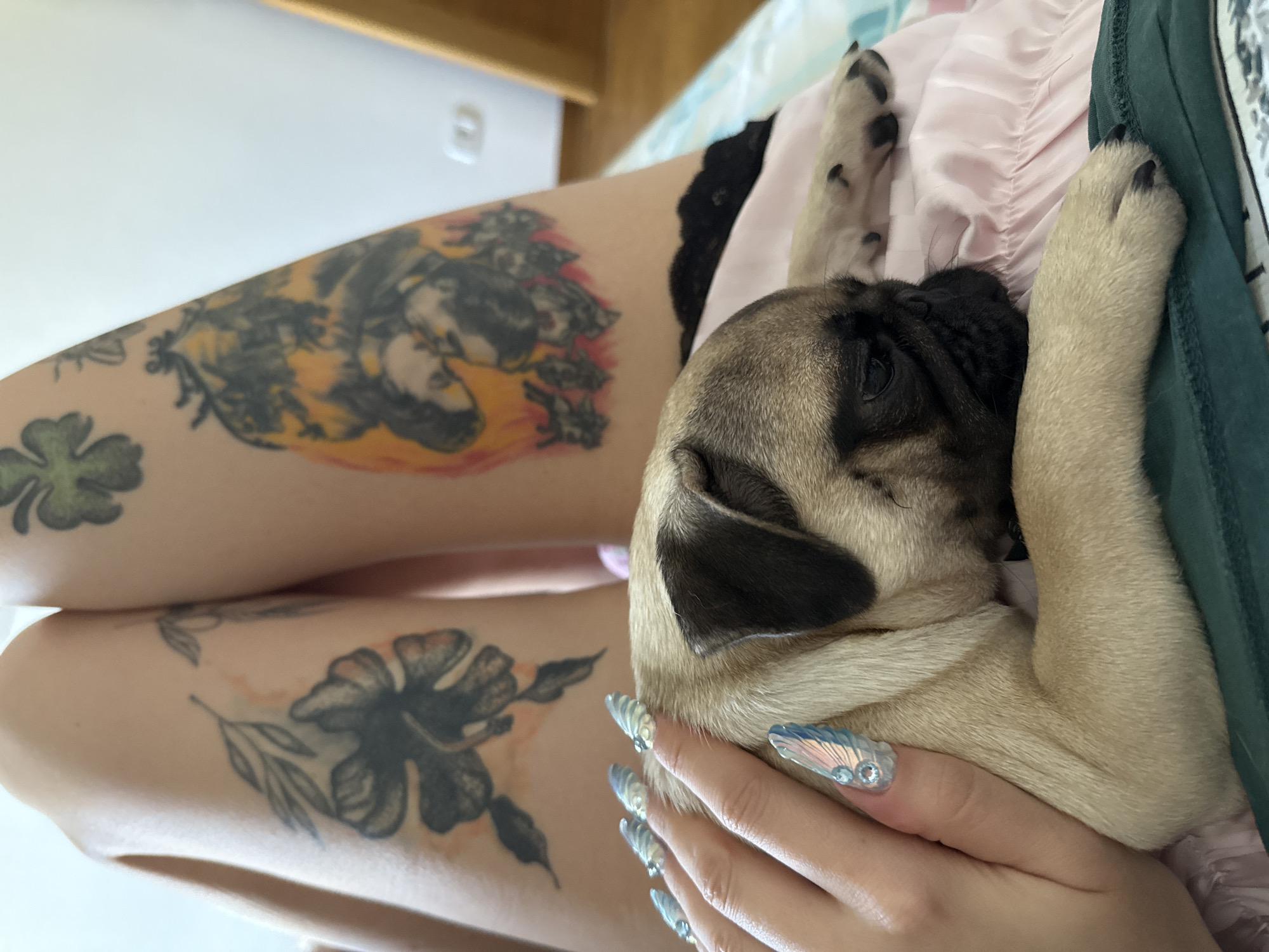 Fawn pug puppy resting under a jeweled hand