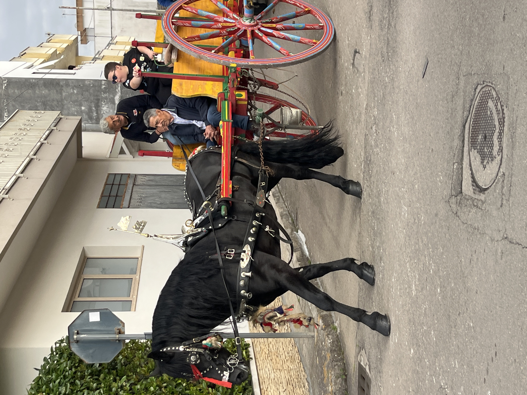 Traditional horse-drawn parade travels through Aradeo, Italy streets