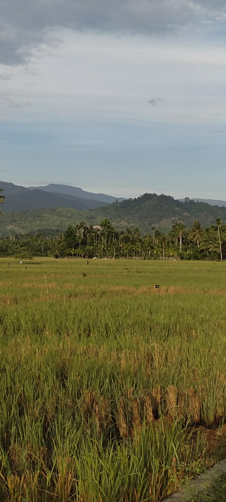 Rural Indonesian village life documented in eight-minute sequence
