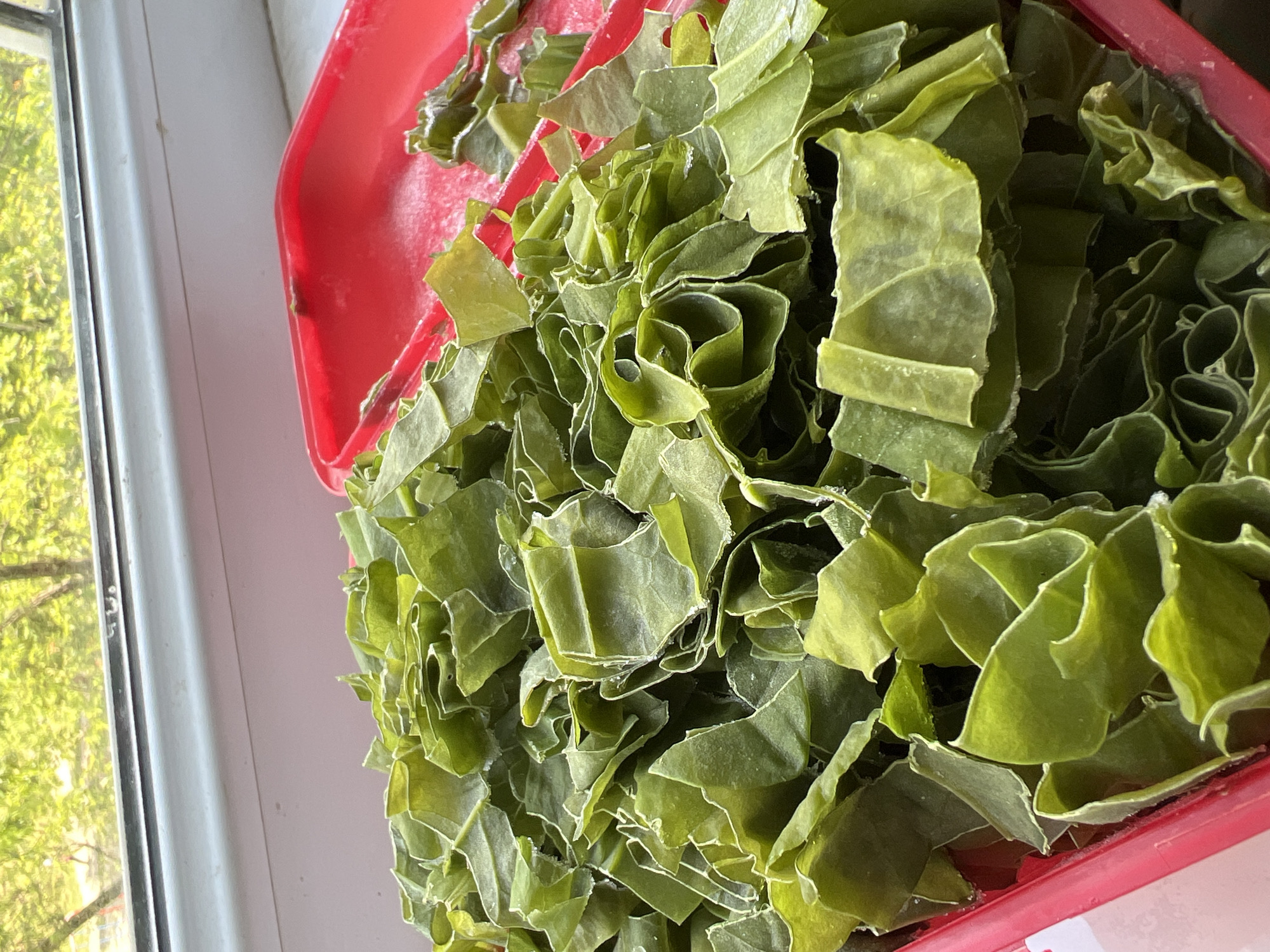 Morning food prep and daily life documented in Kyiv