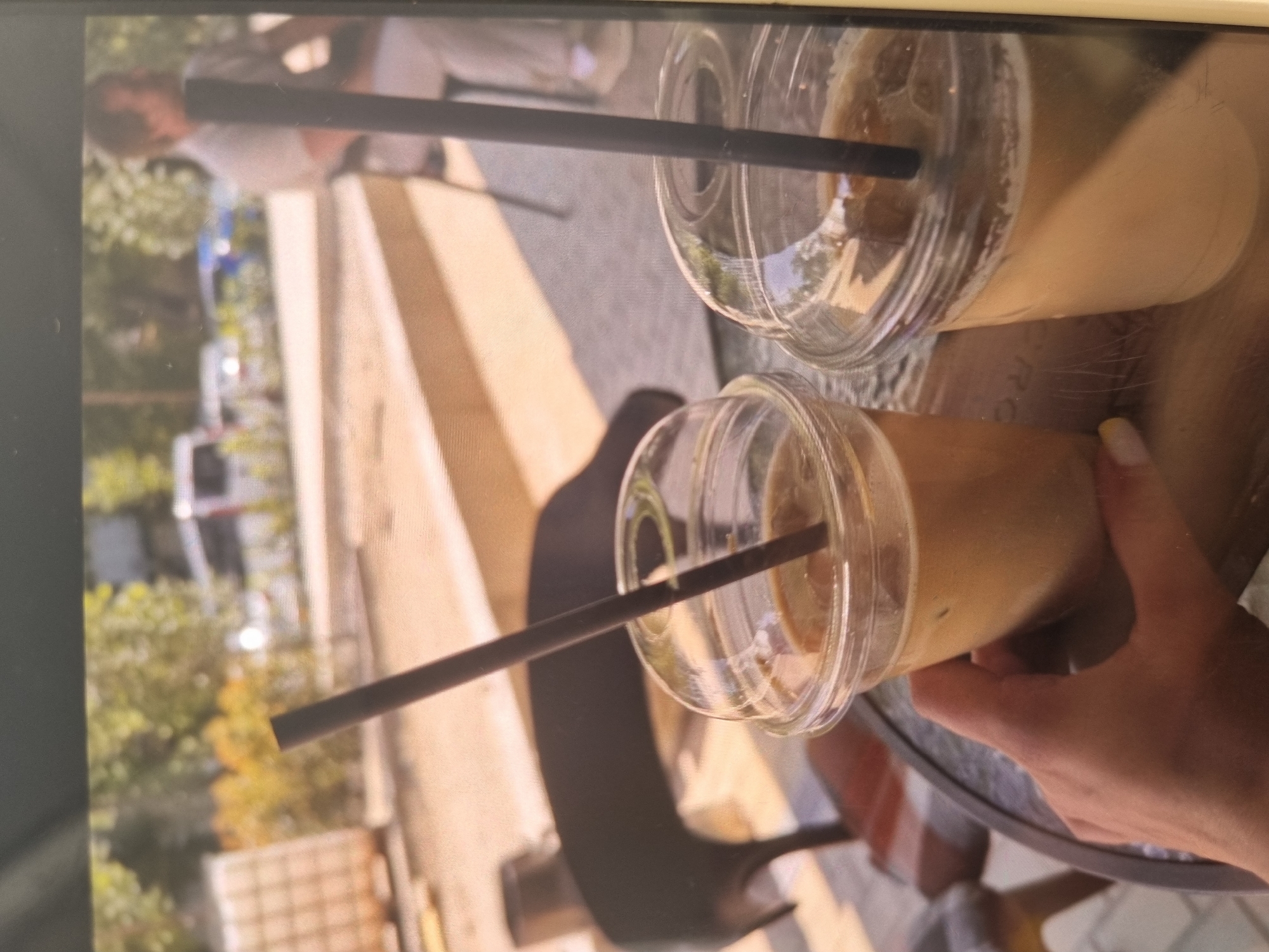 Café morning, roaming cats, and a flight in transit