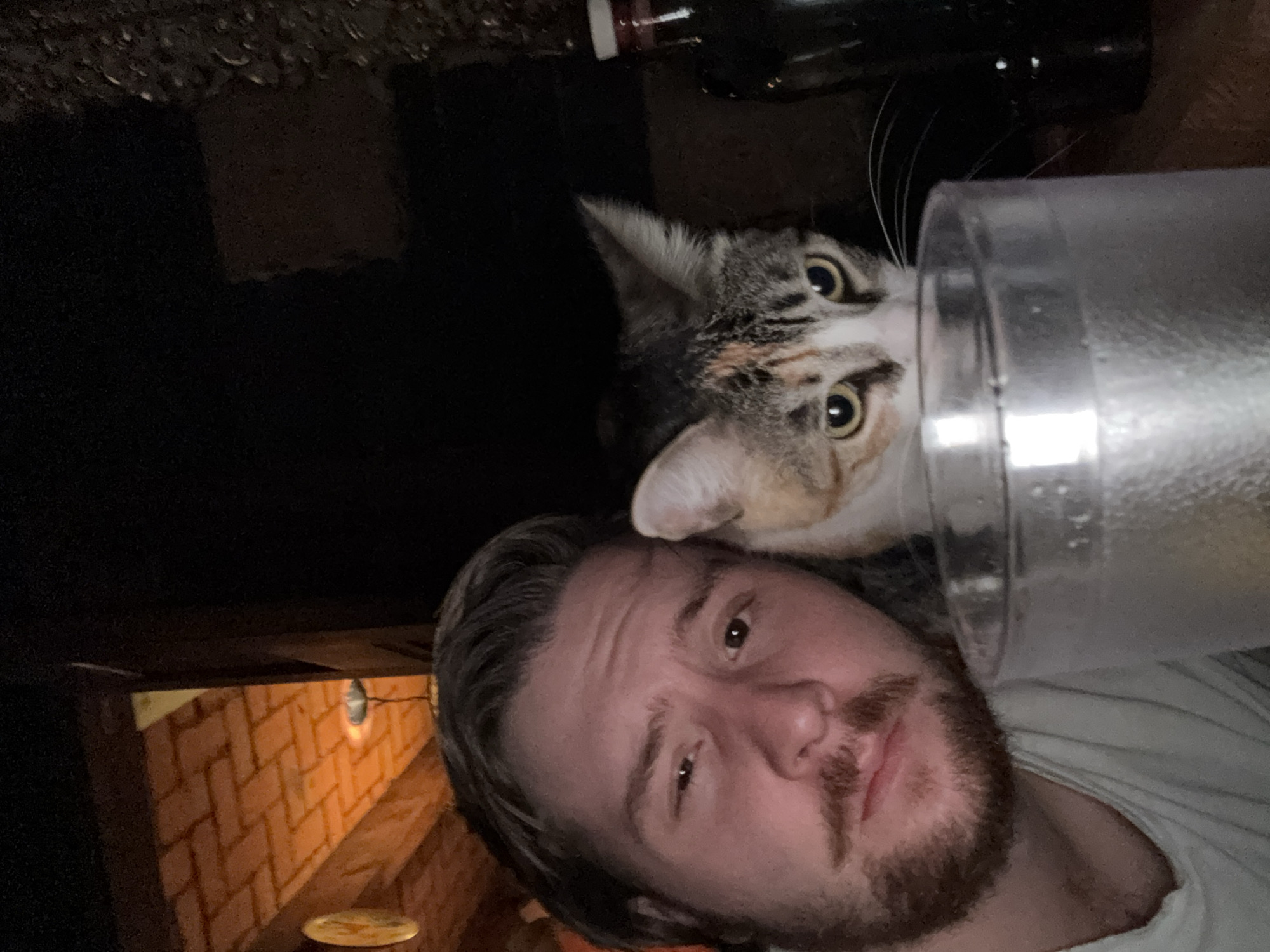 Late-night living room scenes with a cat in Cañada de Madero