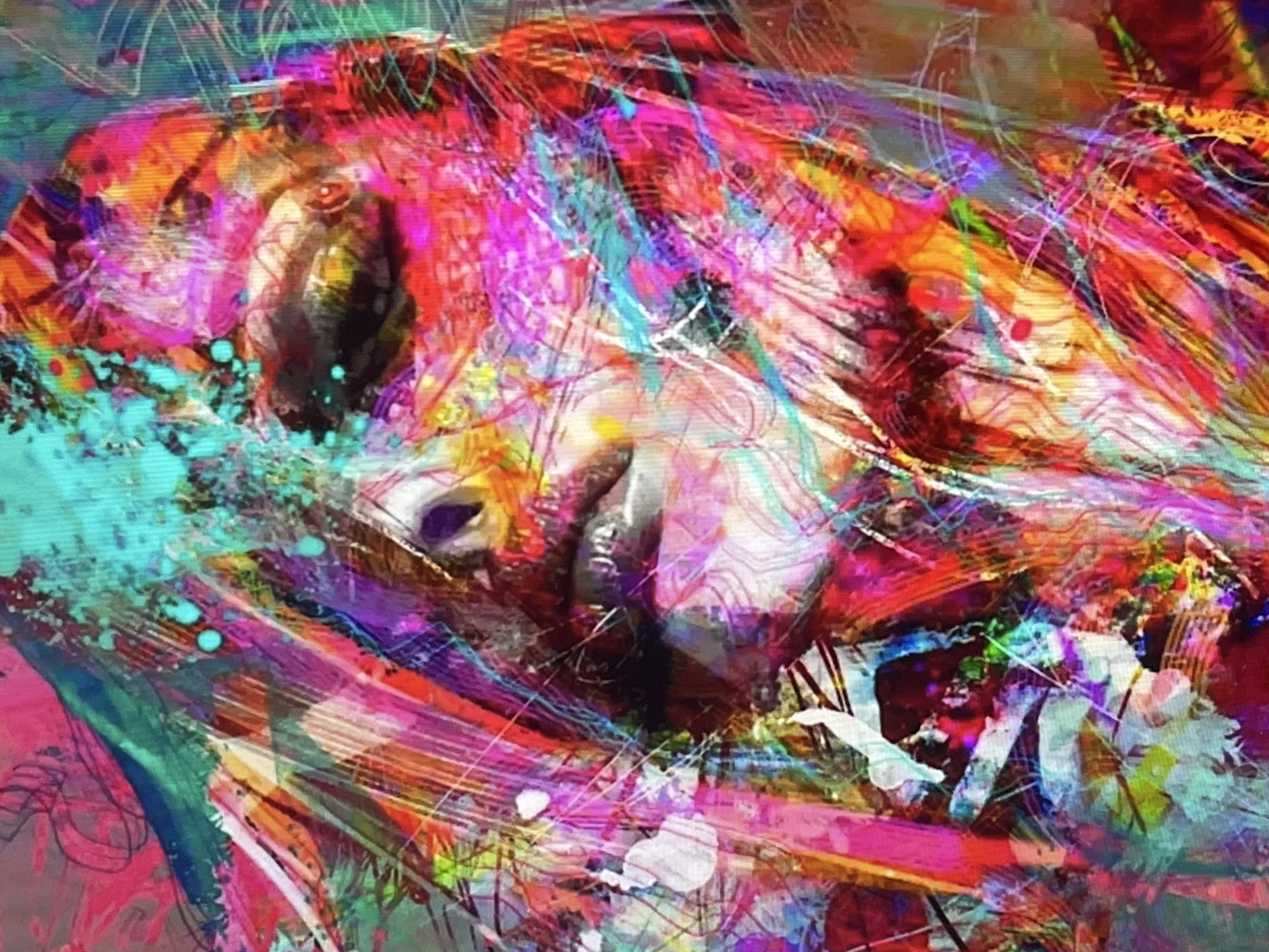 Bold abstract portraits and interior art shots from one morning