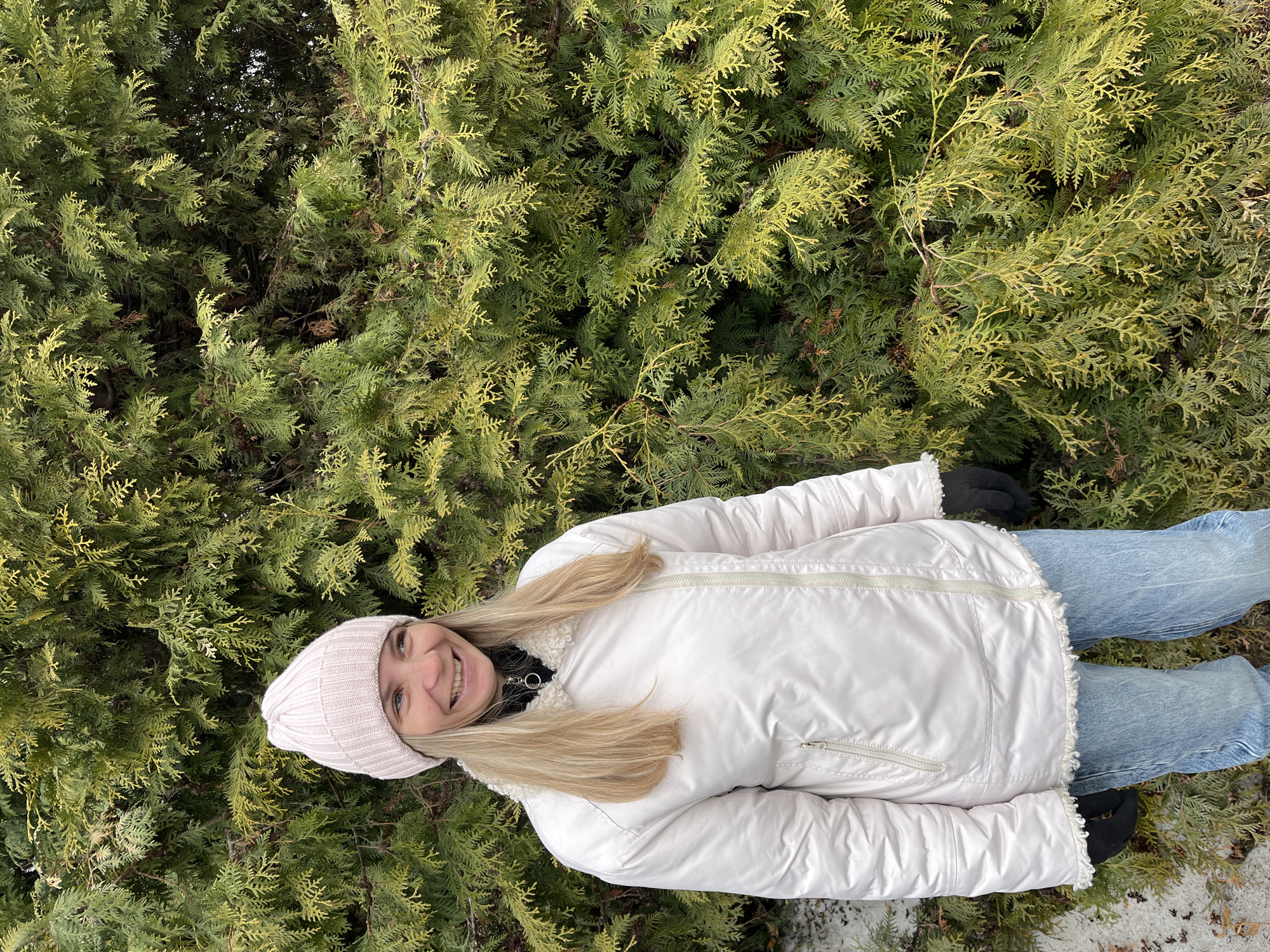 Spring morning observations near evergreens in Chaikovsky, Russia