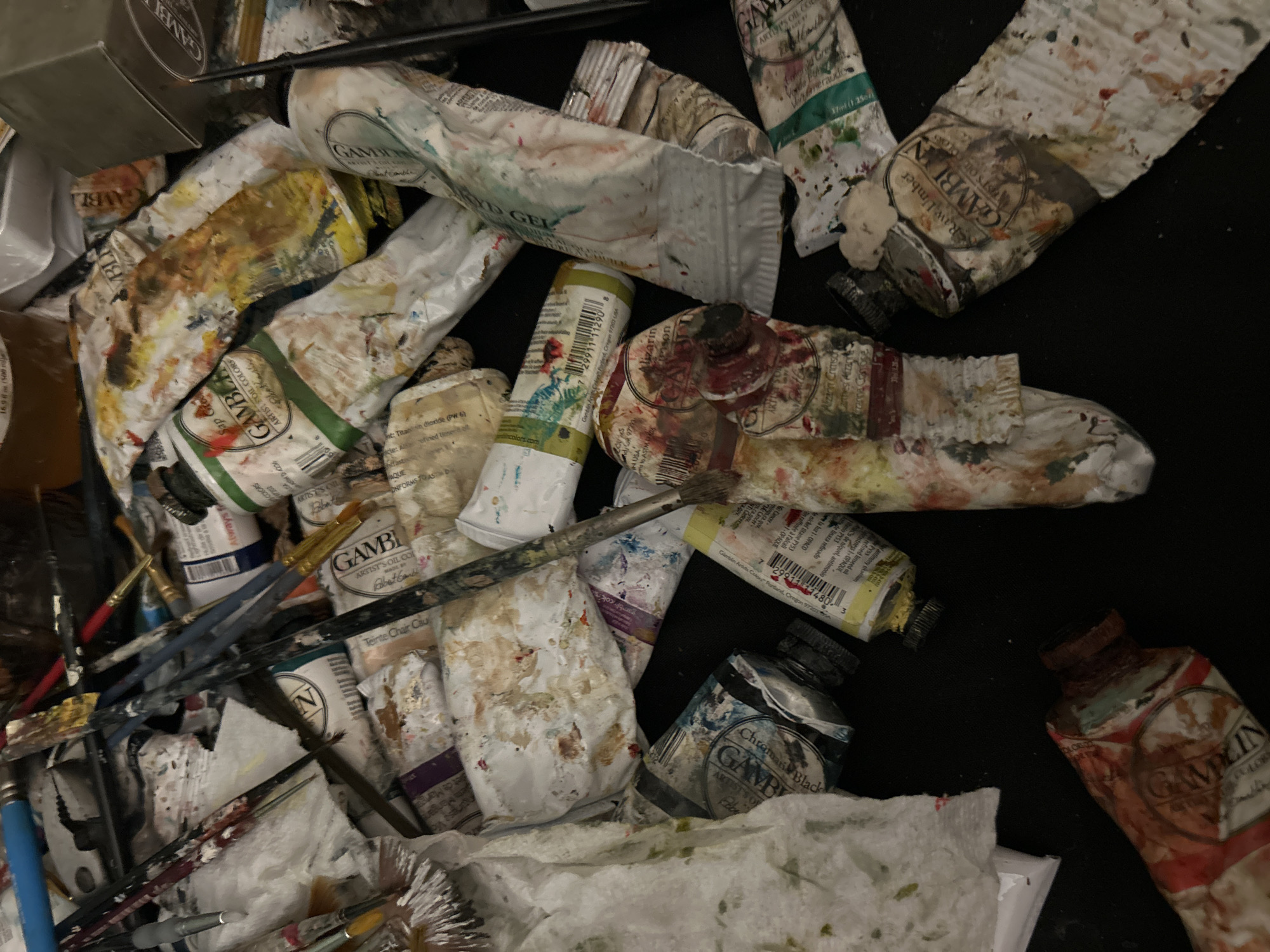 Used oil paints and brushes spotted in Cape Coral