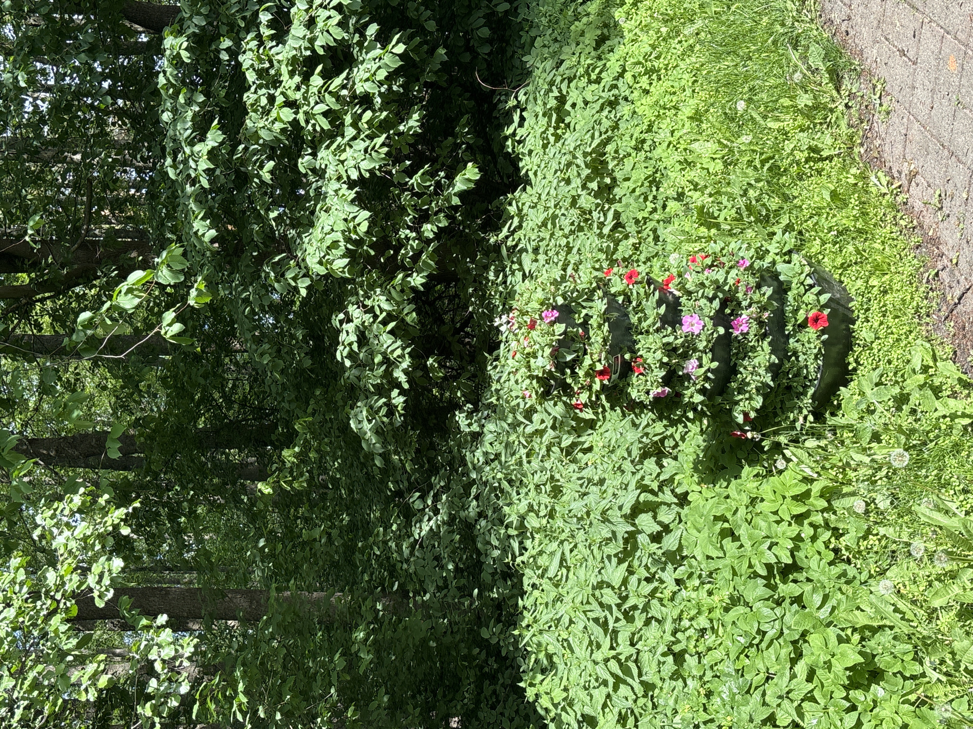Spring afternoon stroll captured in Tallinn park by witnesses