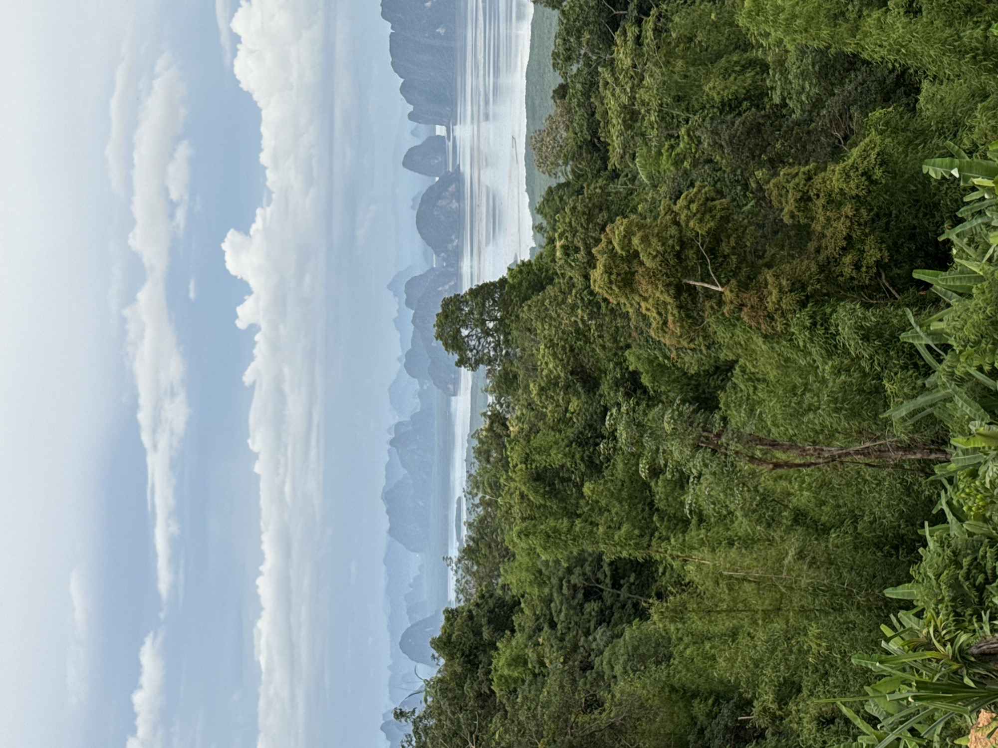 Phang Nga Bay karst views from Tha Yu, plus one kitten