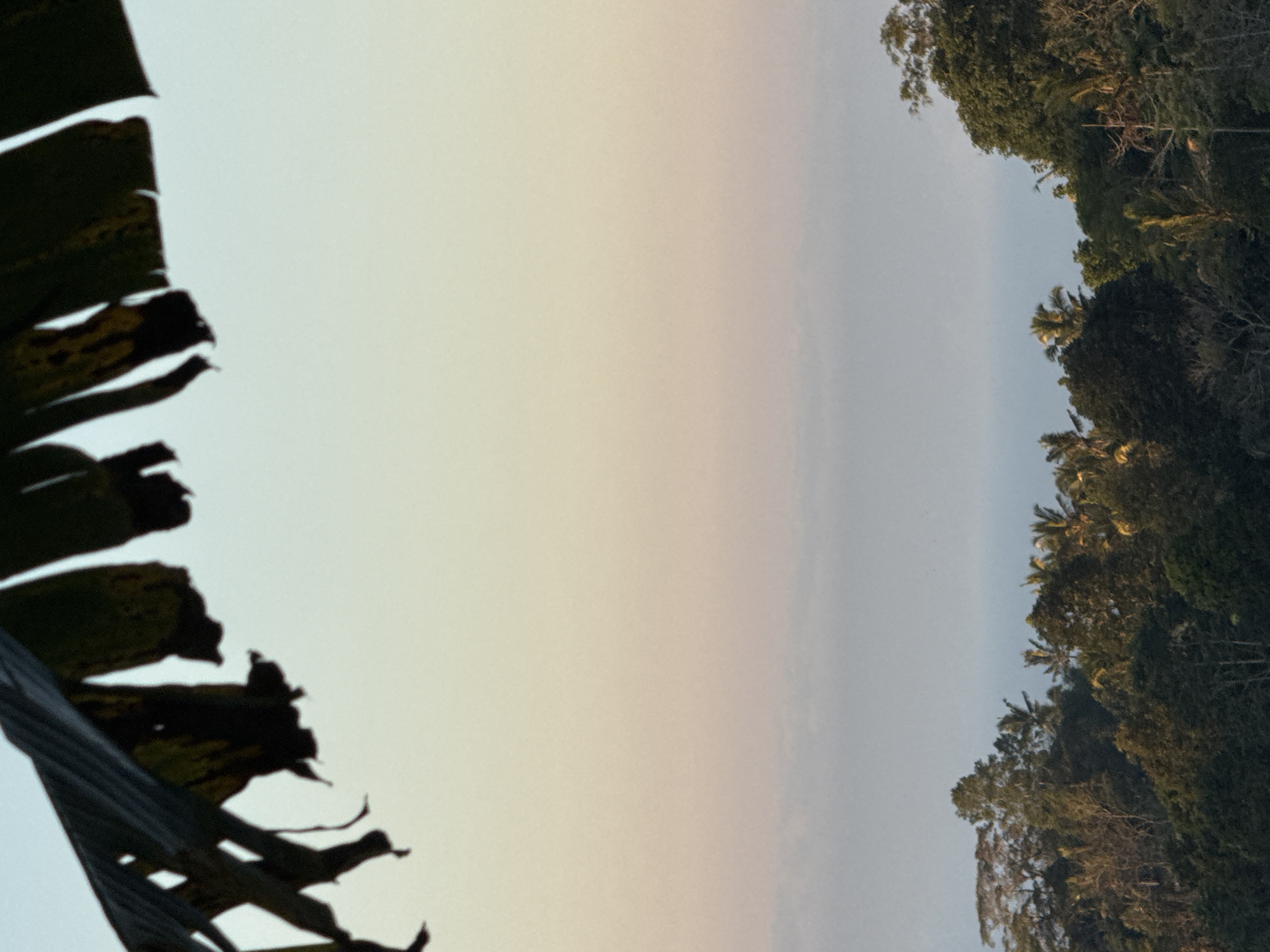 Misty highland panoramas from Baturiti's green hills