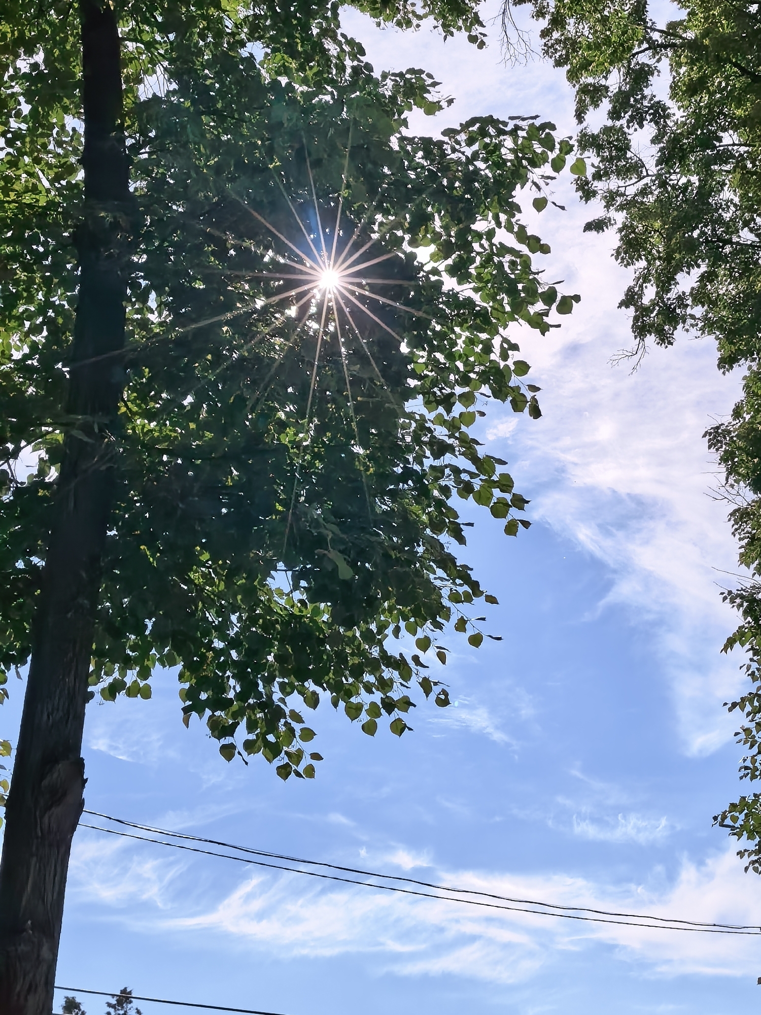 Summer sky photography session through trees in Sterlitamak