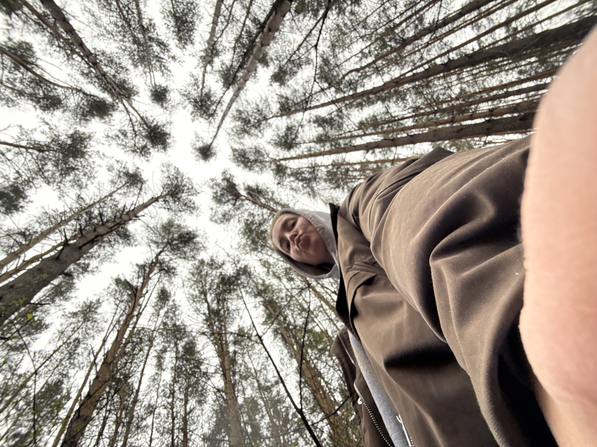Morning moments captured across Chaikovsky include forest walks, snacks