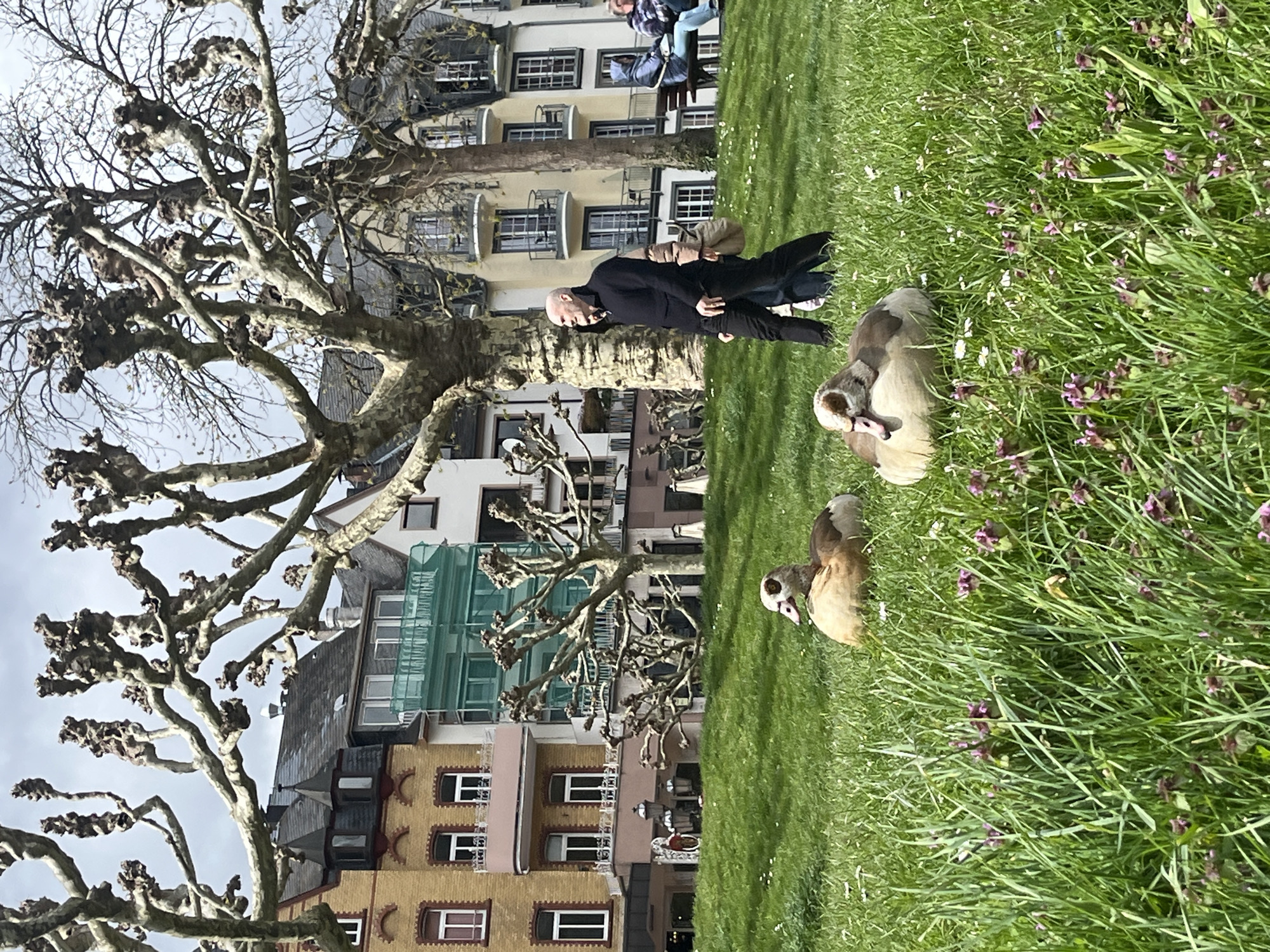 Tourist captures springtime scenes in Cochem, Germany riverside town