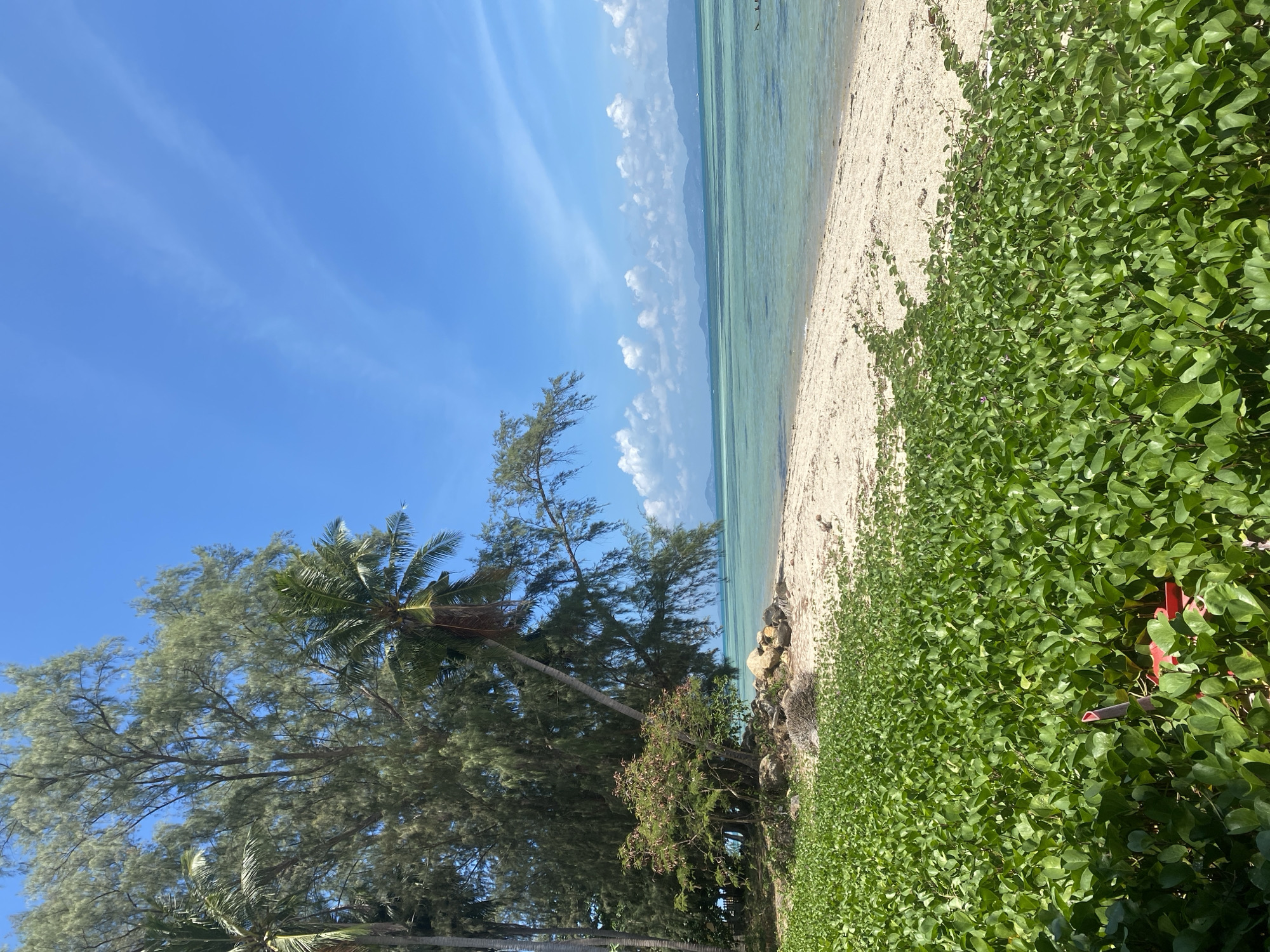 Early morning beach scenes documented in rural Thailand