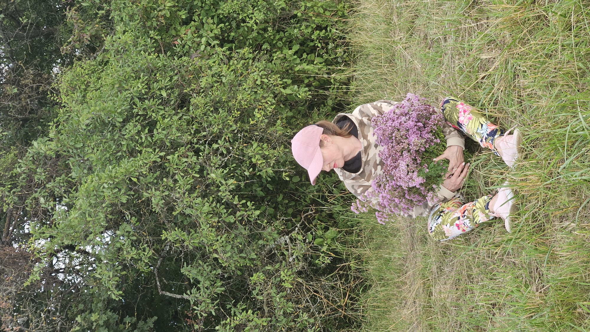 Hilltop afternoon above Prešov, city views and wildflowers