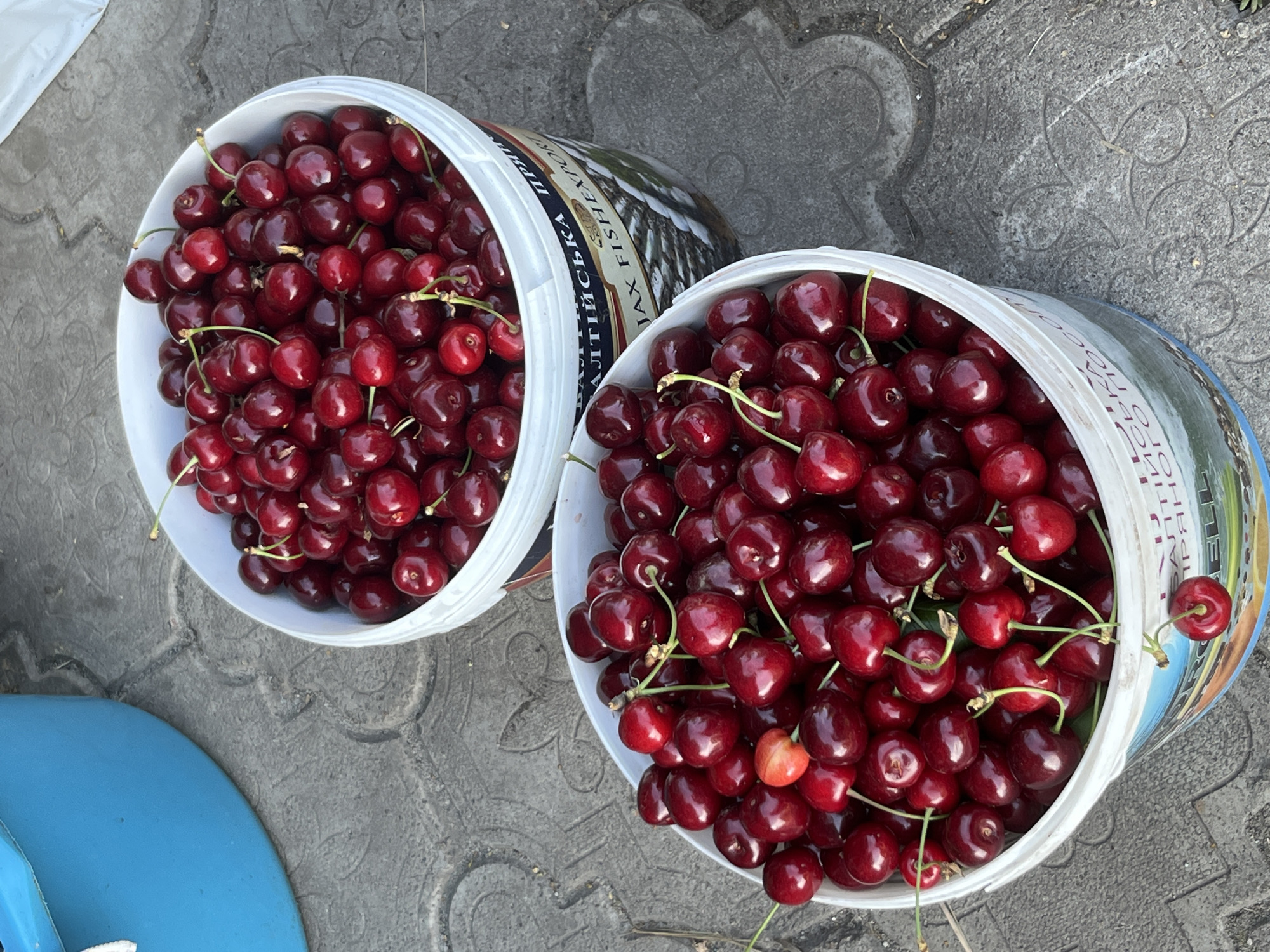 Cherry and mulberry harvest time in Seredivka
