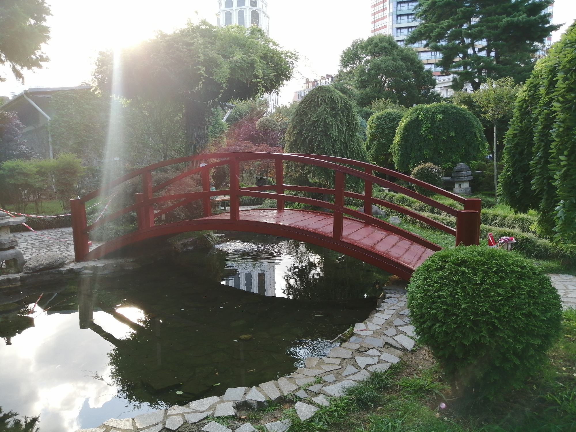 Batumi's gardens, ruins, and skyline in one morning sweep