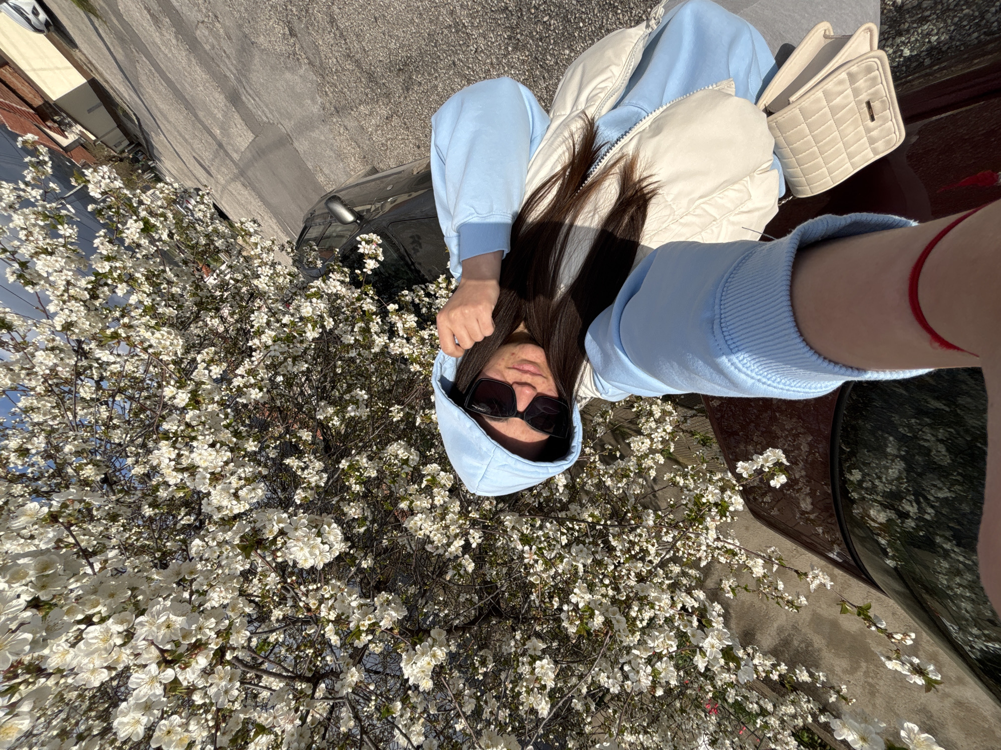 Woman photographs spring blossoms by car in Karlovo, Bulgaria