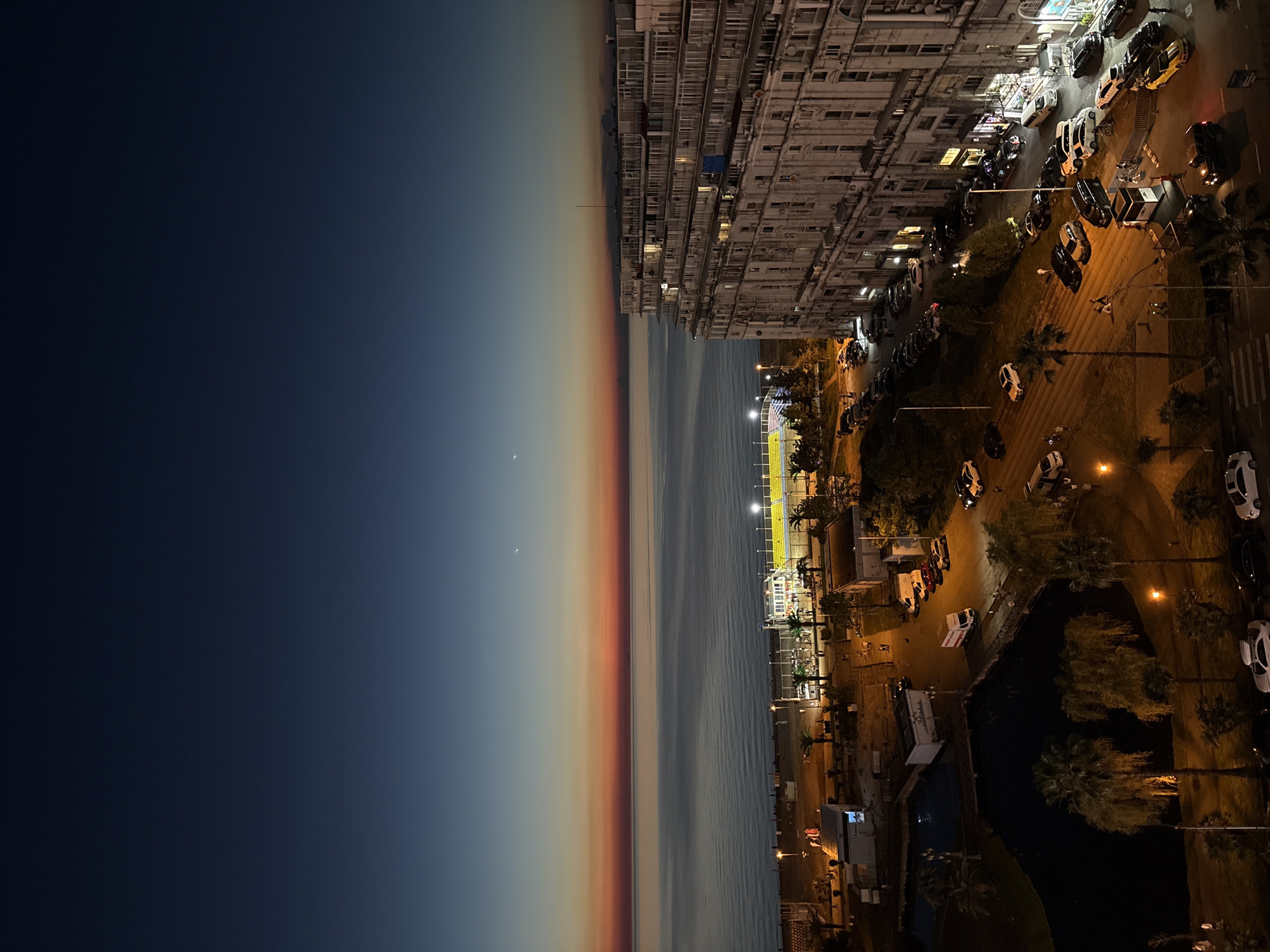 Woman documents evening scenes across modern Batumi with pet dog