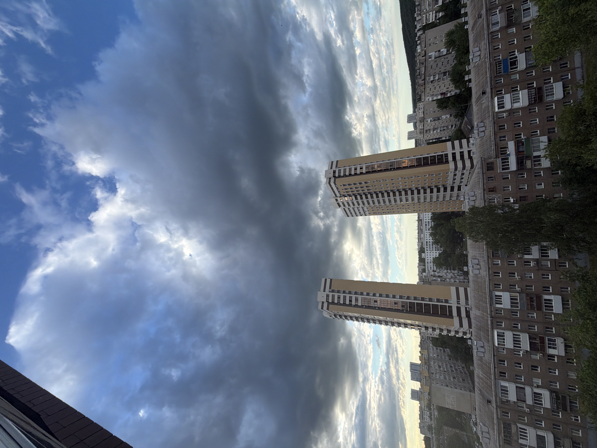 Afternoon dog walk documented through changing urban cityscape