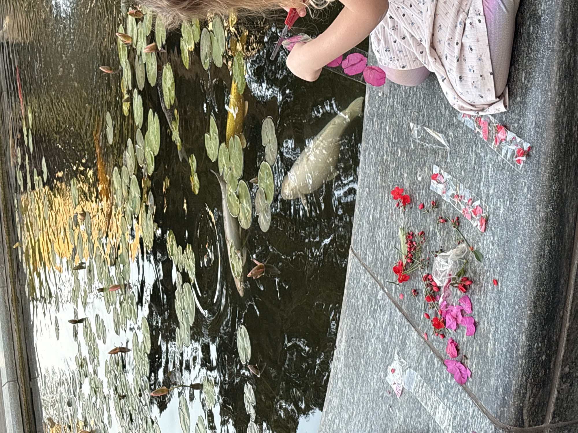 Casual afternoon moments captured across Ramat Gan park areas