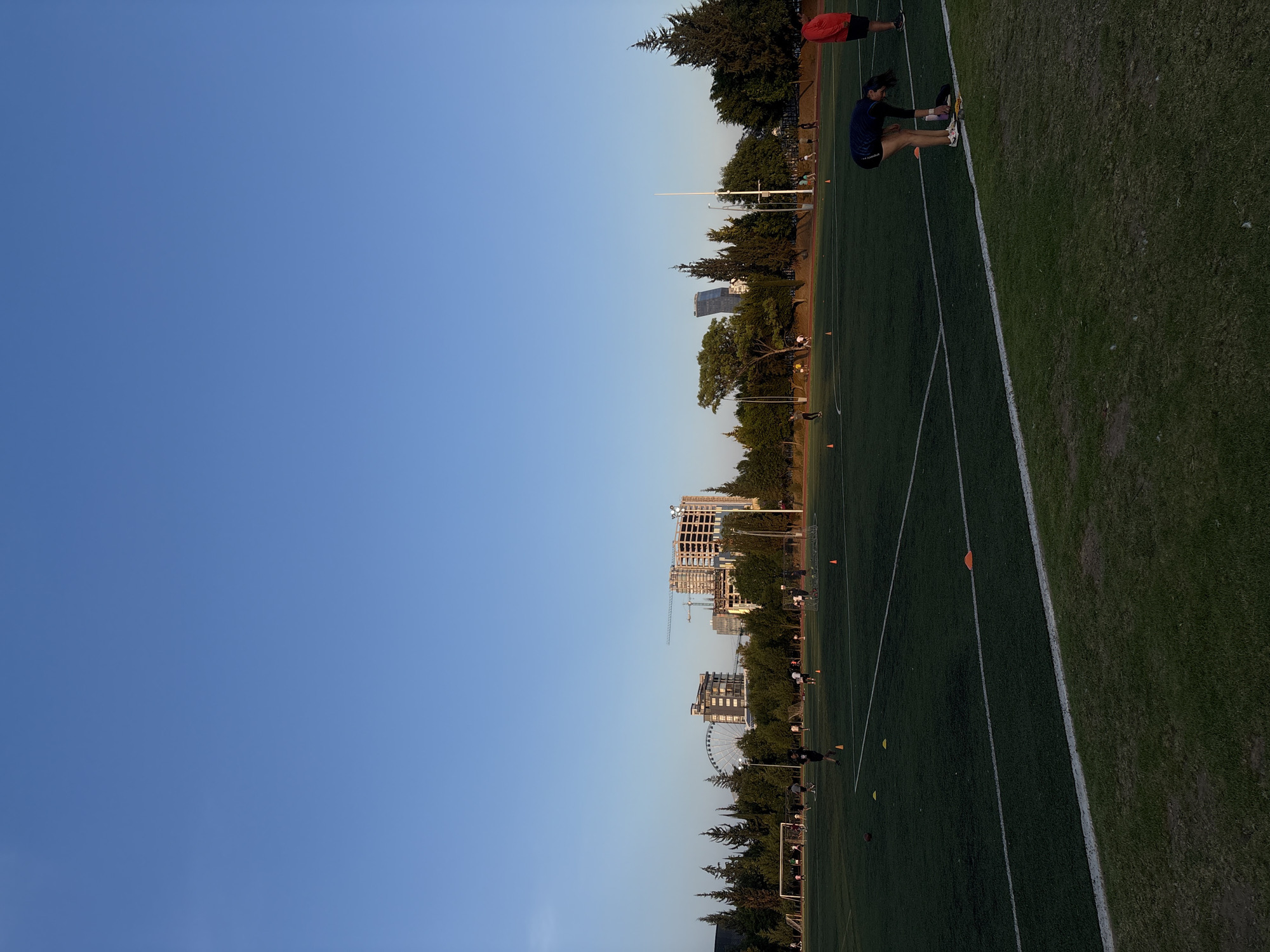 Geese visit athletic field at Puebla sports complex