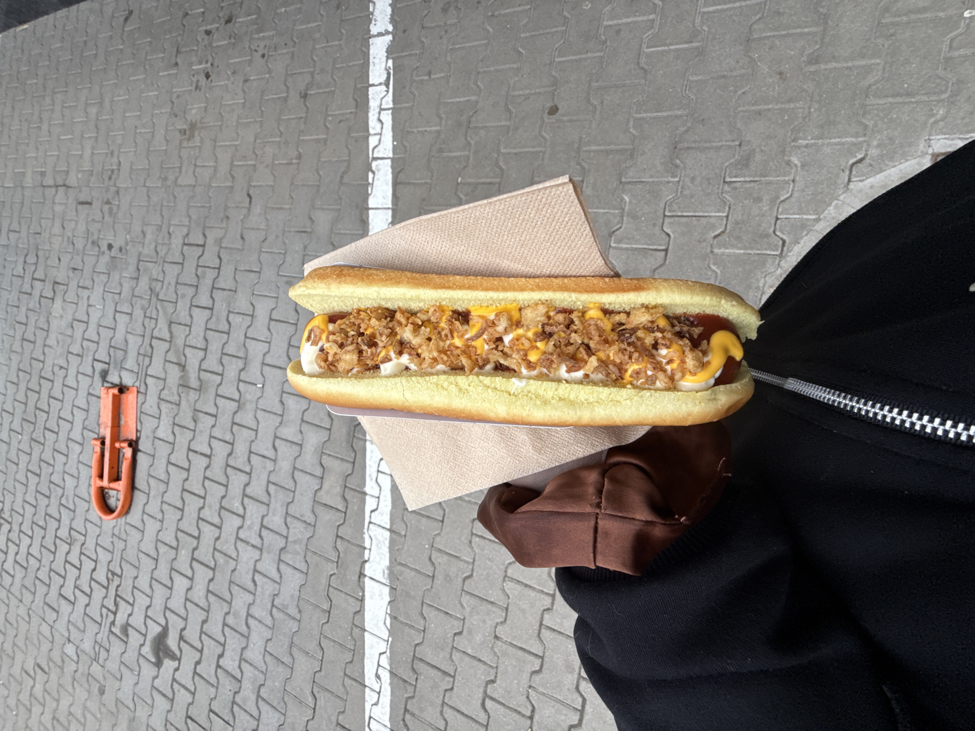 Person enjoys hot dog with condiments in Sofia
