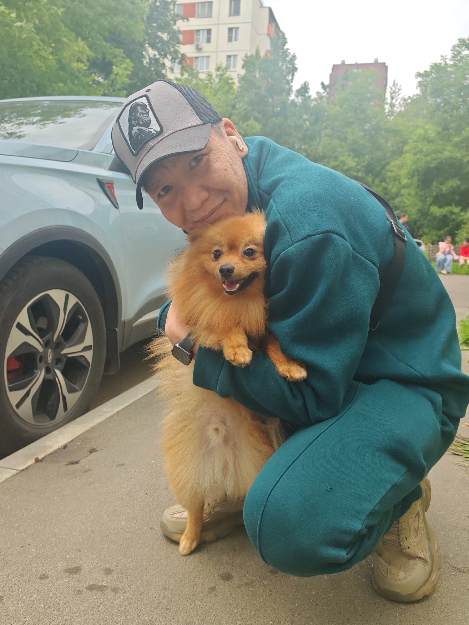 Pomeranian's afternoon walk through a park and urban streets