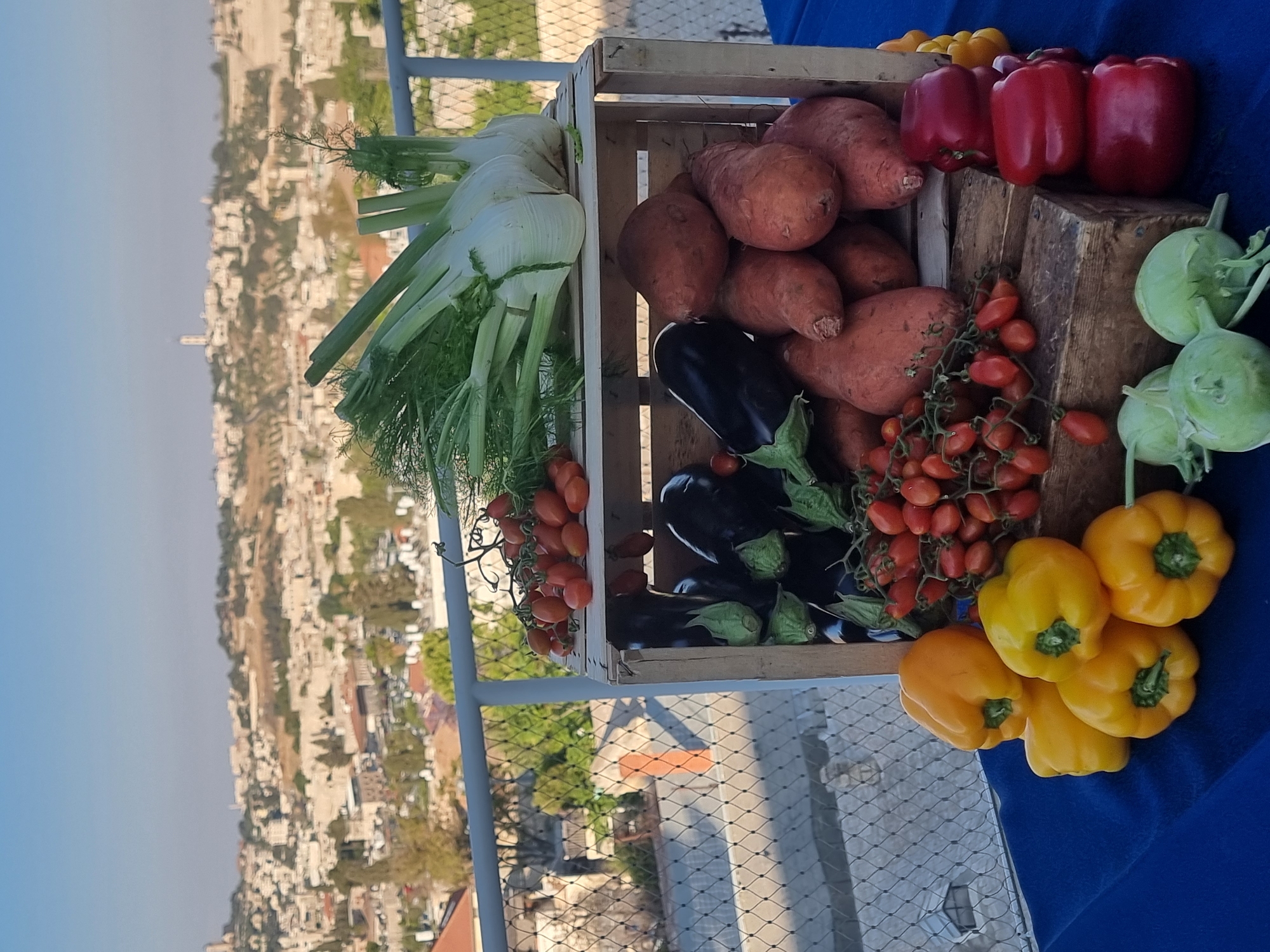 Jerusalem residents document daily life moments across city